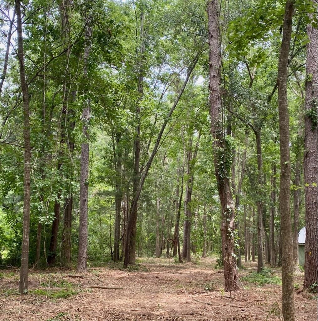 Lot 12 Charles Samuel Drive