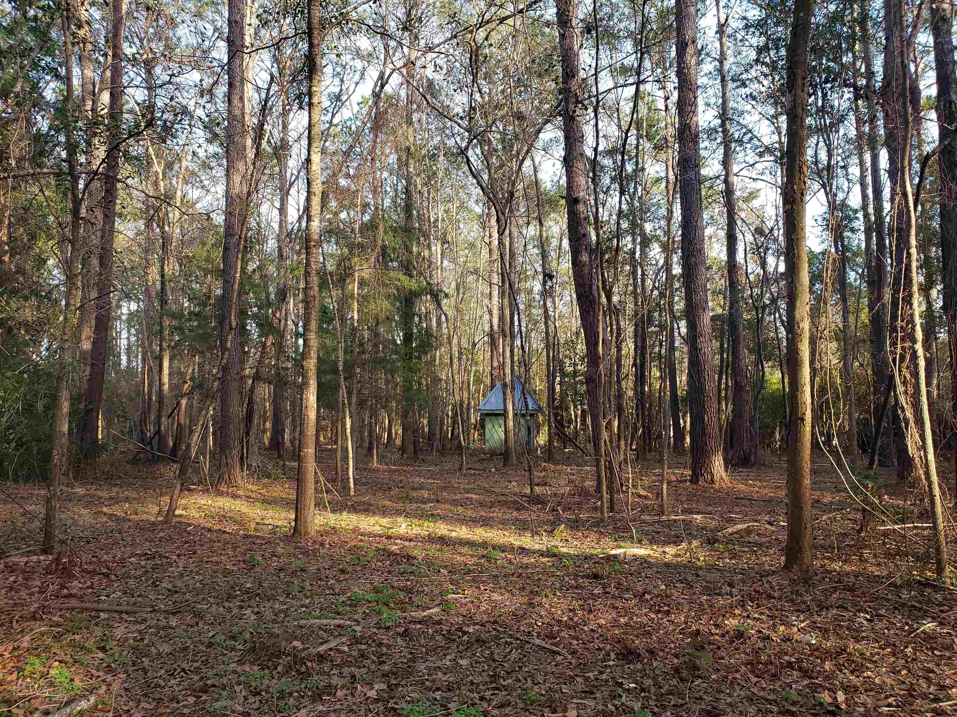 Lot 12 Charles Samuel Drive