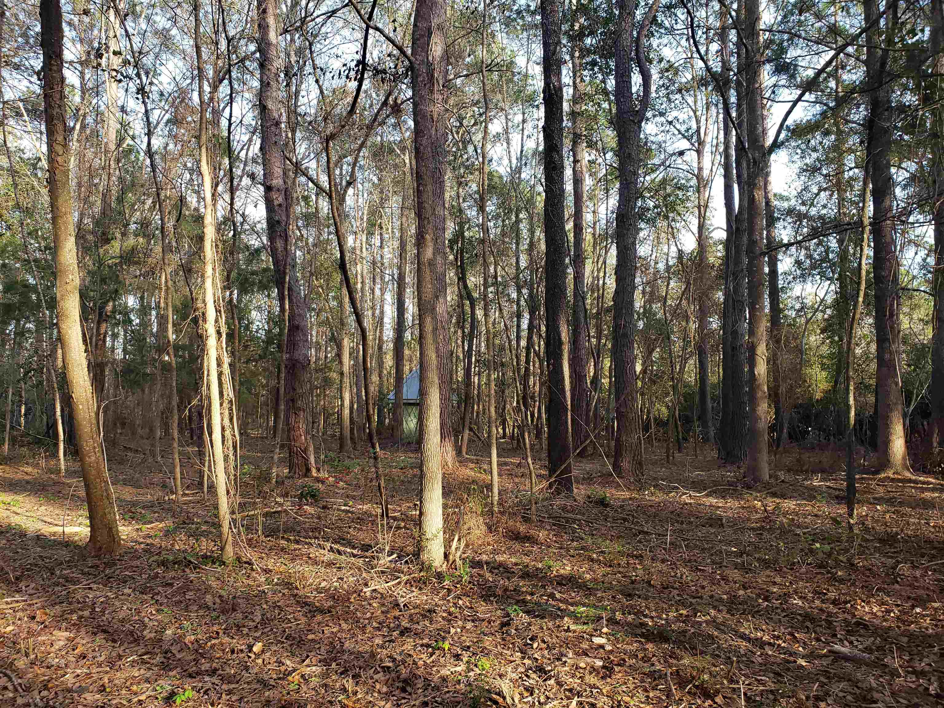 Lot 12 Charles Samuel Drive