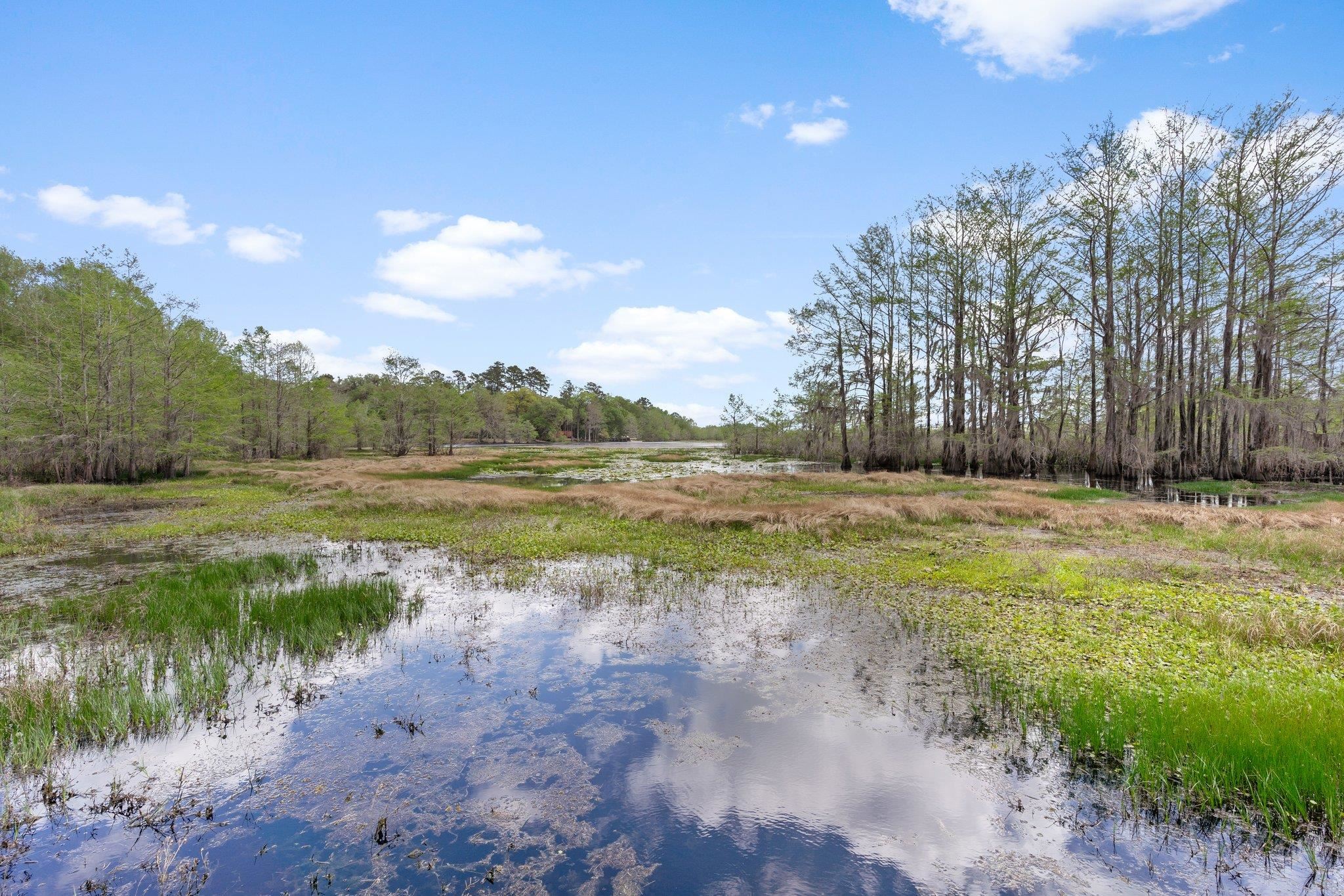 12995 N Meridian Road