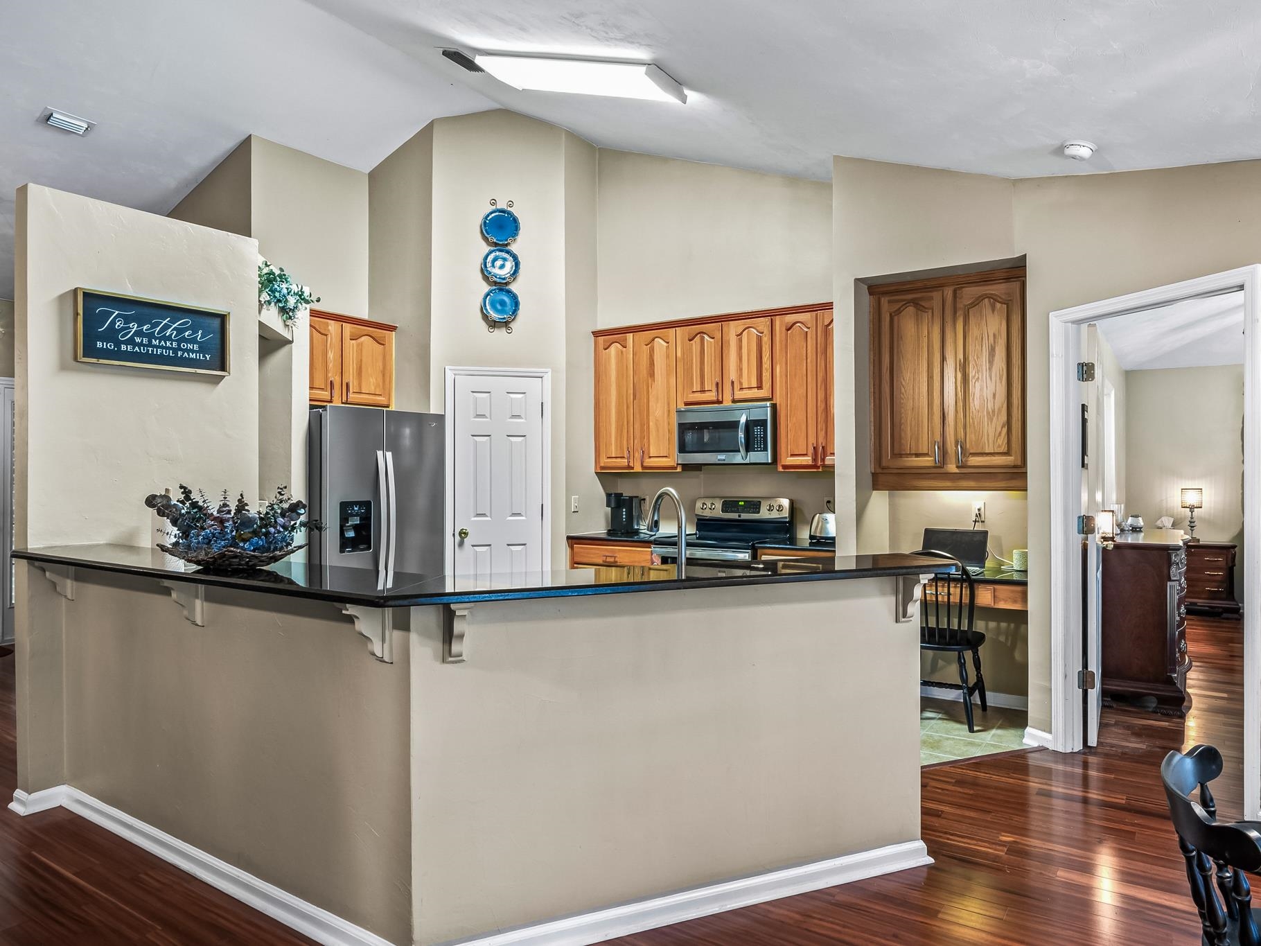 10533 Lake Iamonia Drive