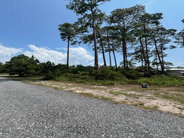 301 Summerbreeze Lane