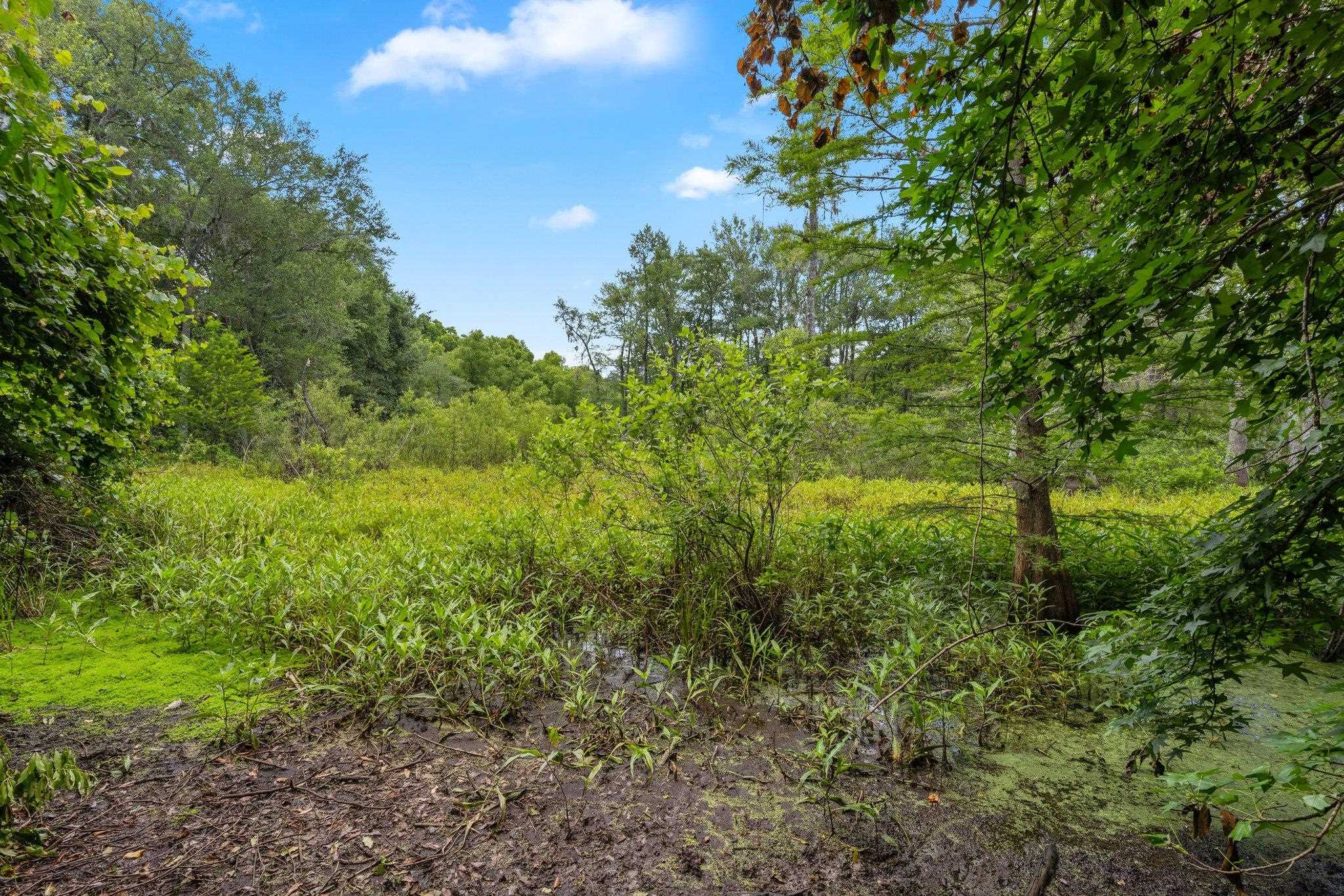 4520 Old Magnolia Road