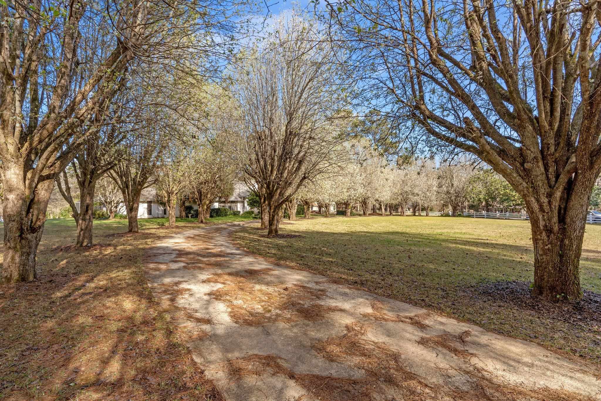 6069 Thackeray Lane