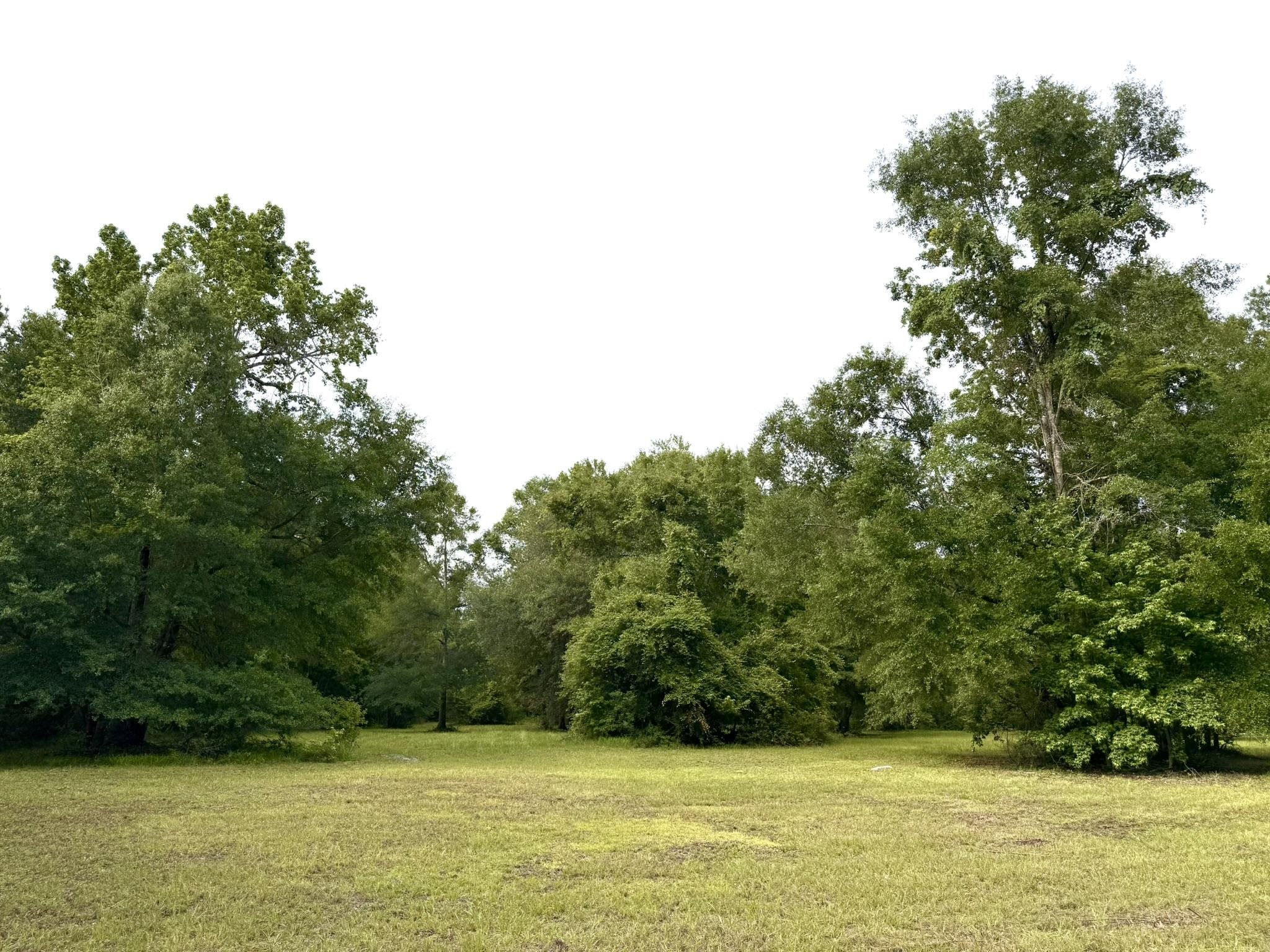 415 Hunters Trace
