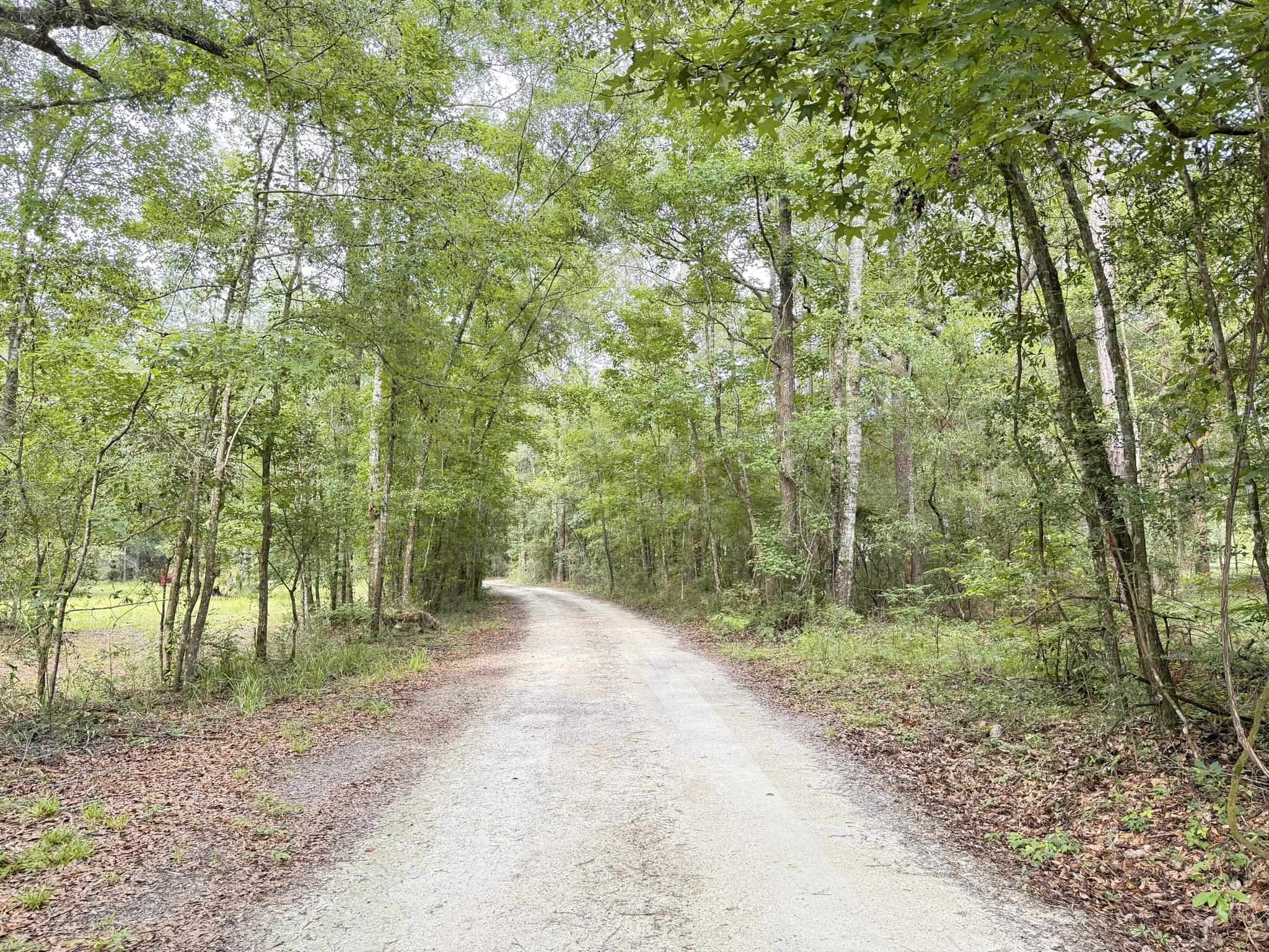 415 Hunters Trace