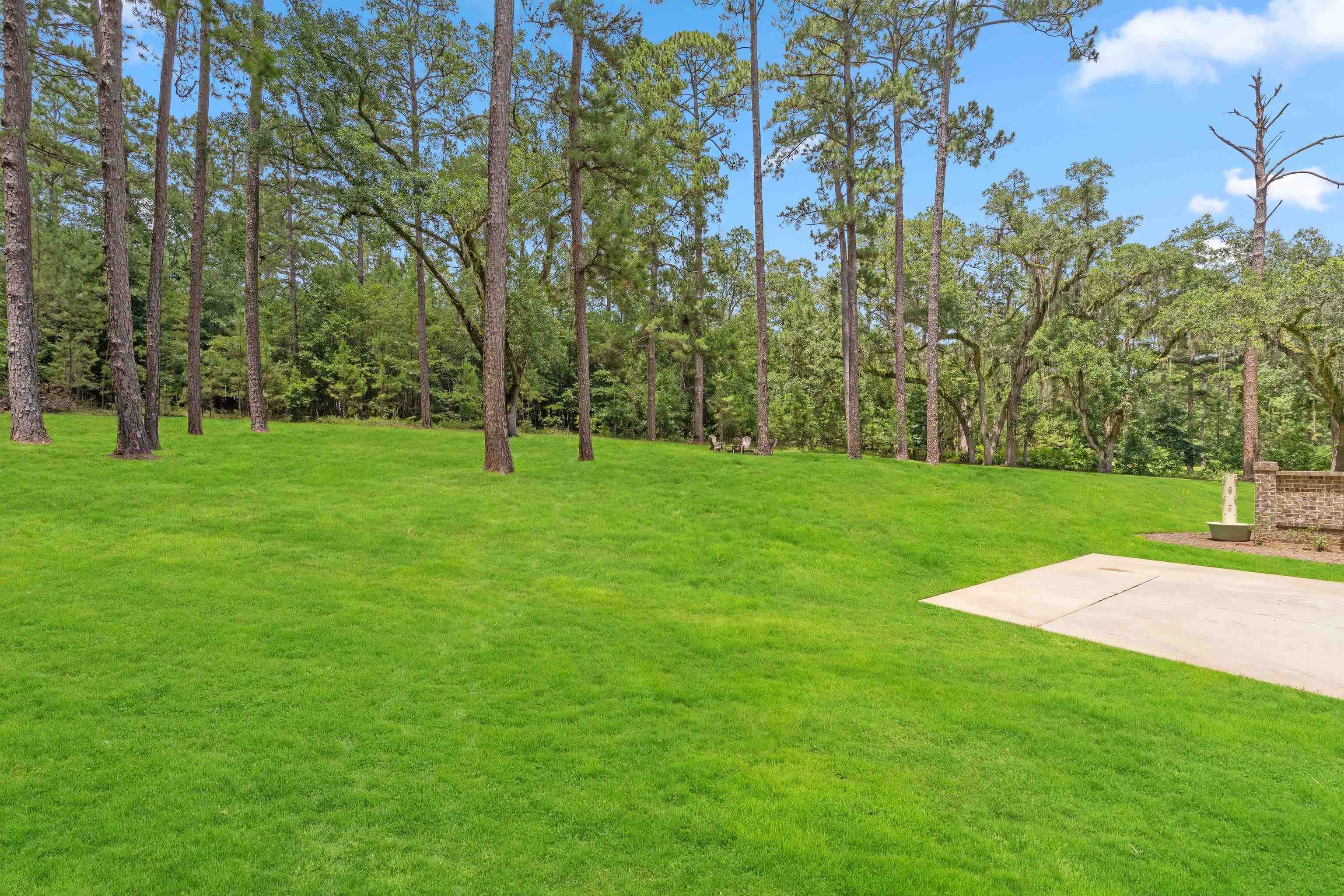 6323 Bird Dog Point