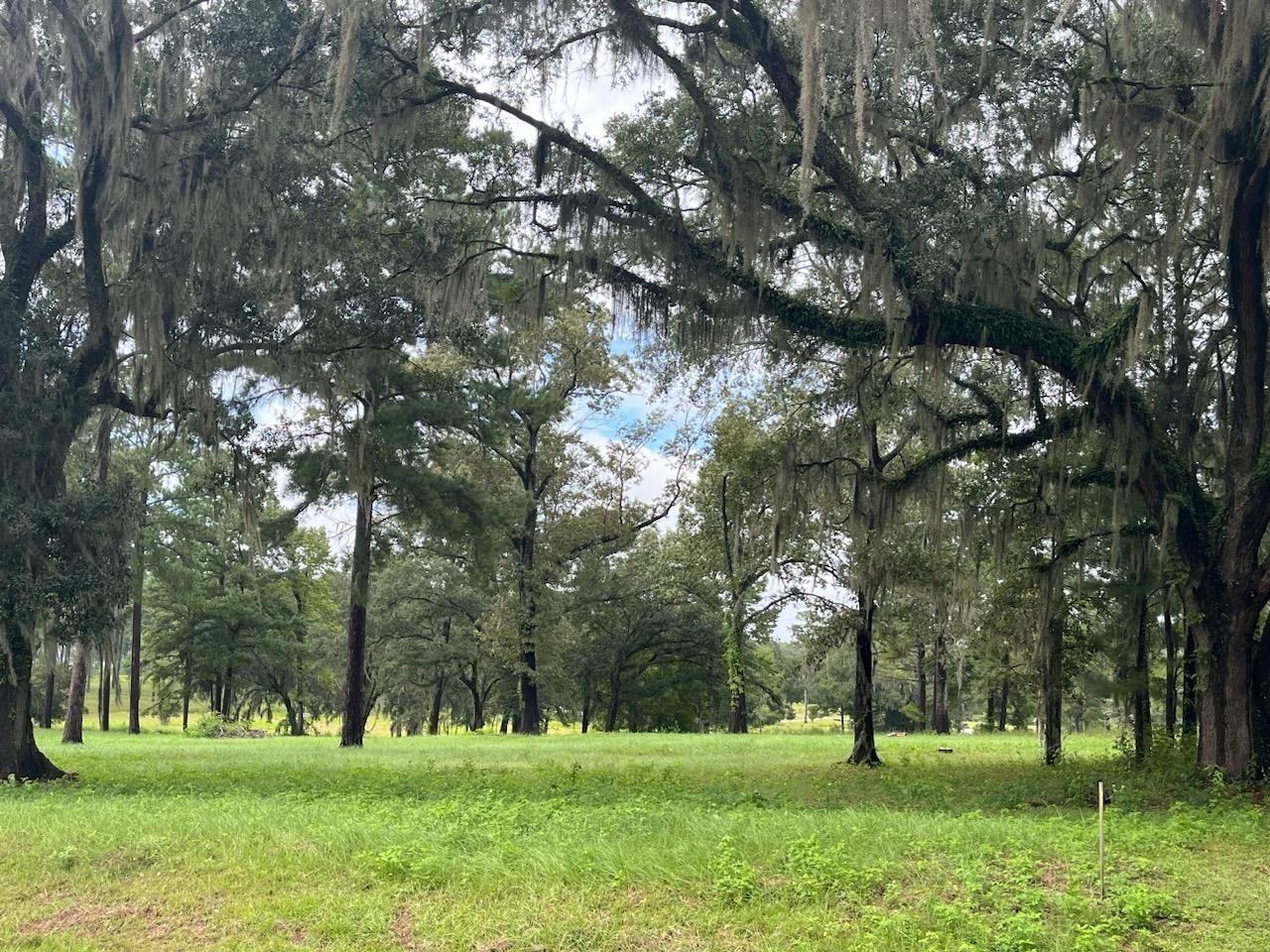 Lot 4 Pine Fair Way