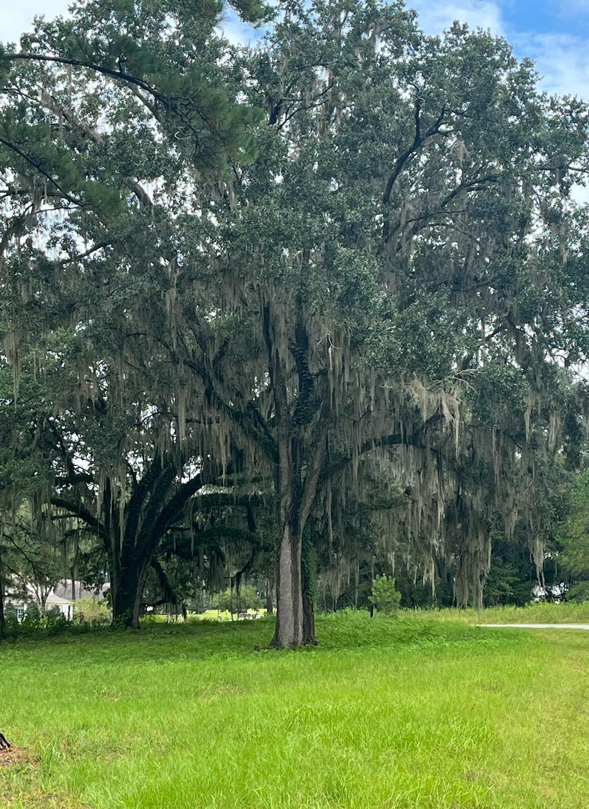 Lot 4 Pine Fair Way