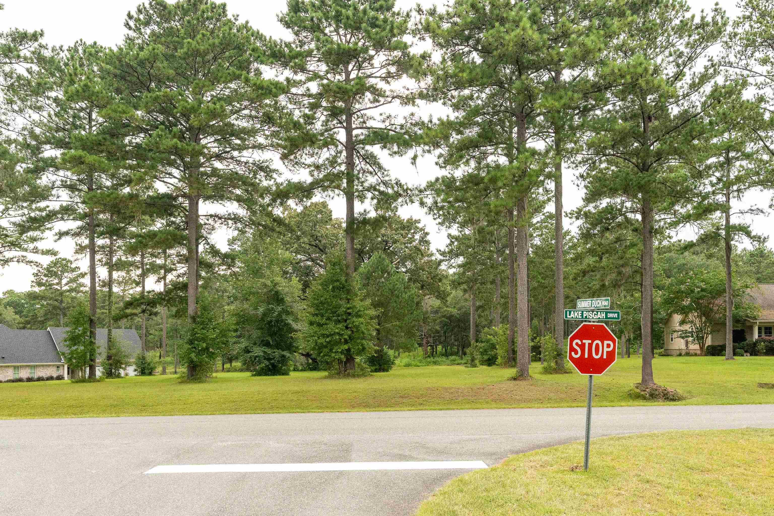 Lake Pisgah Drive