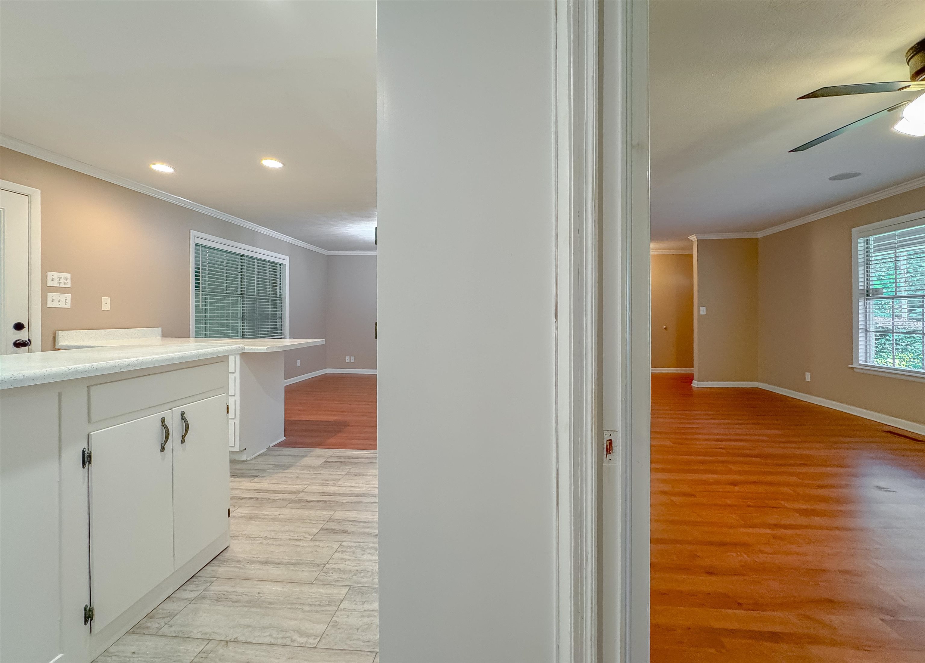 1917 Doomar Drive