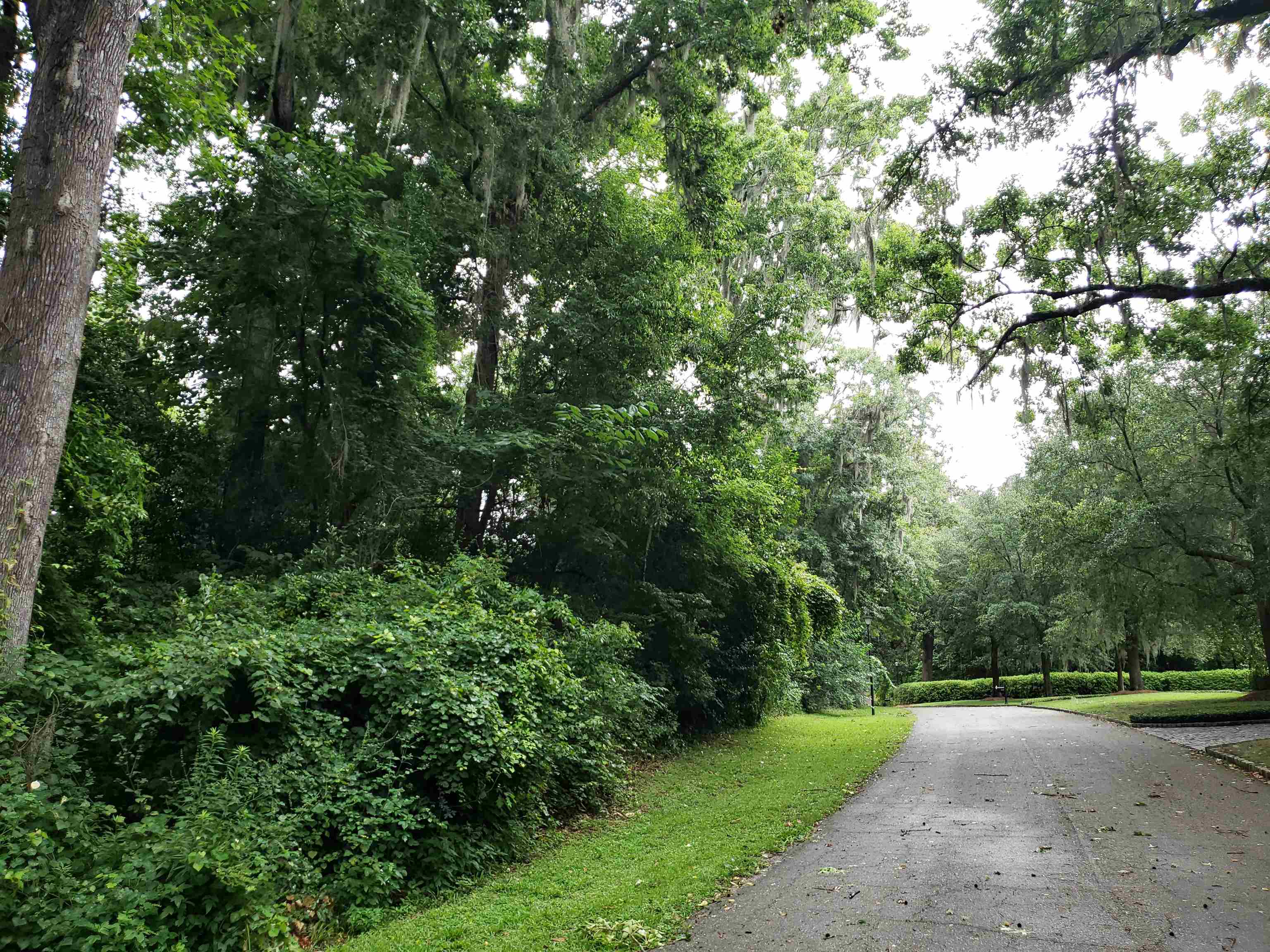 3344 Charleston Road