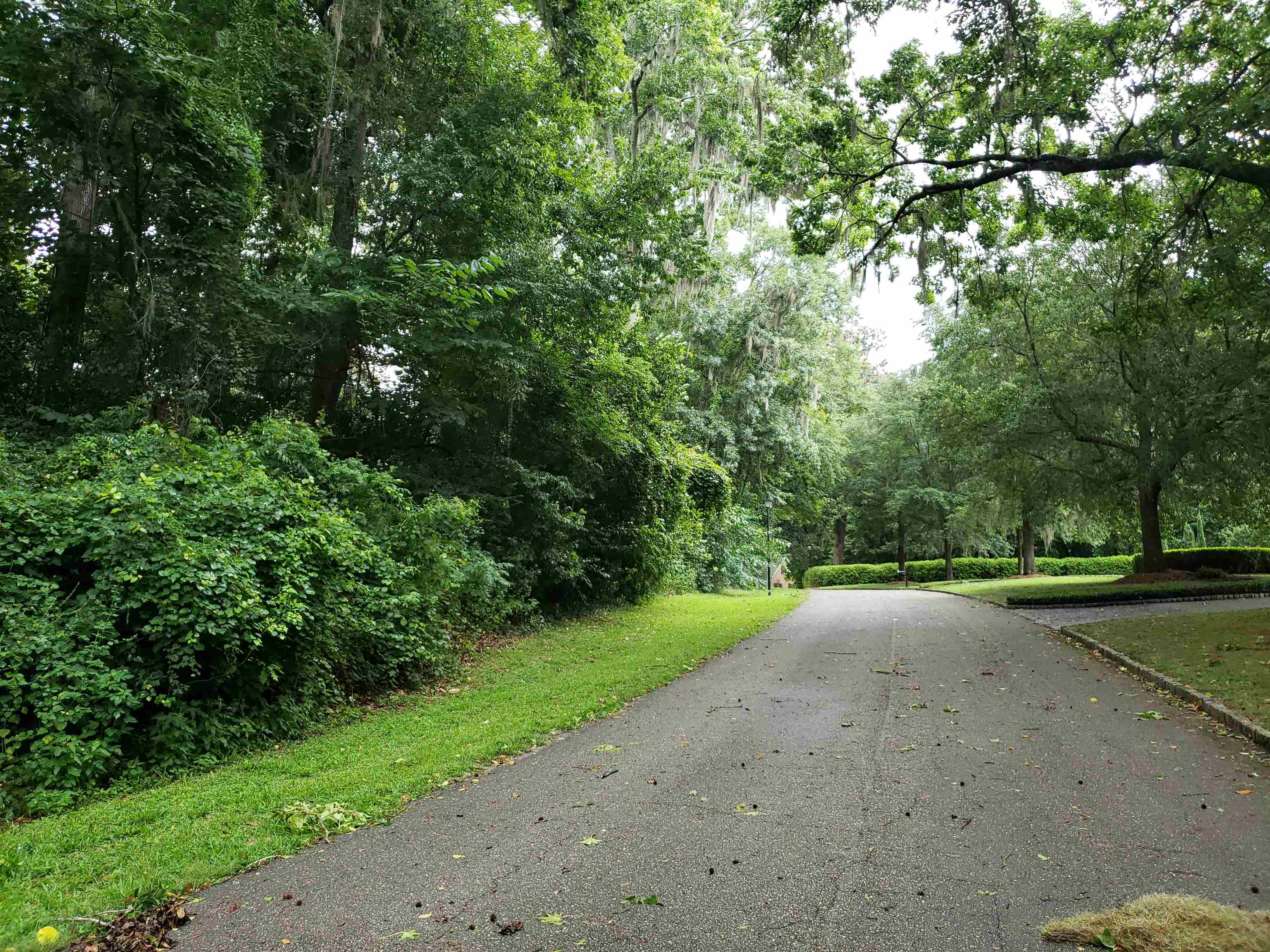 3344 Charleston Road