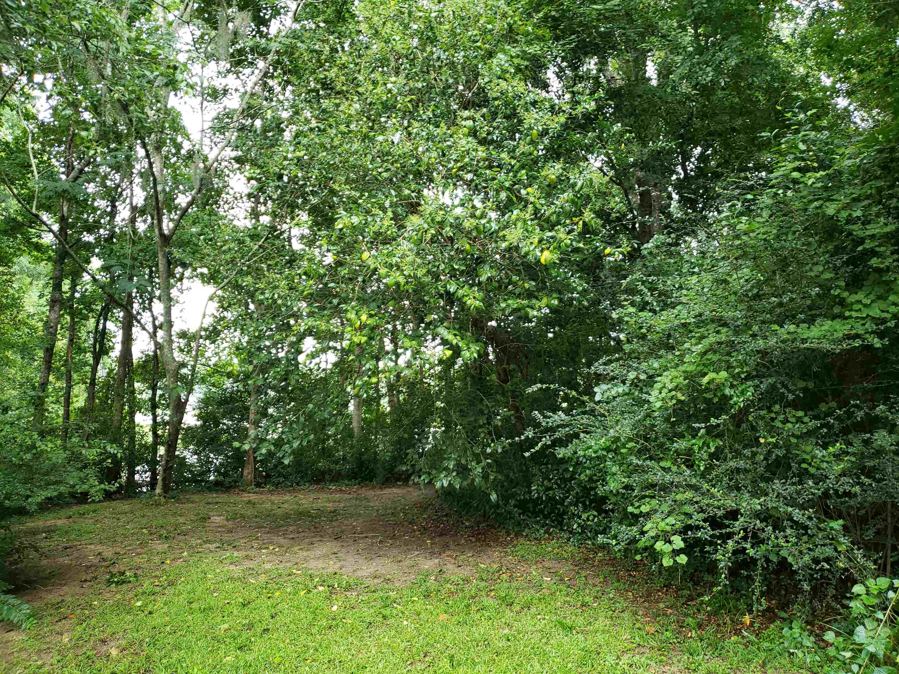 3344 Charleston Road