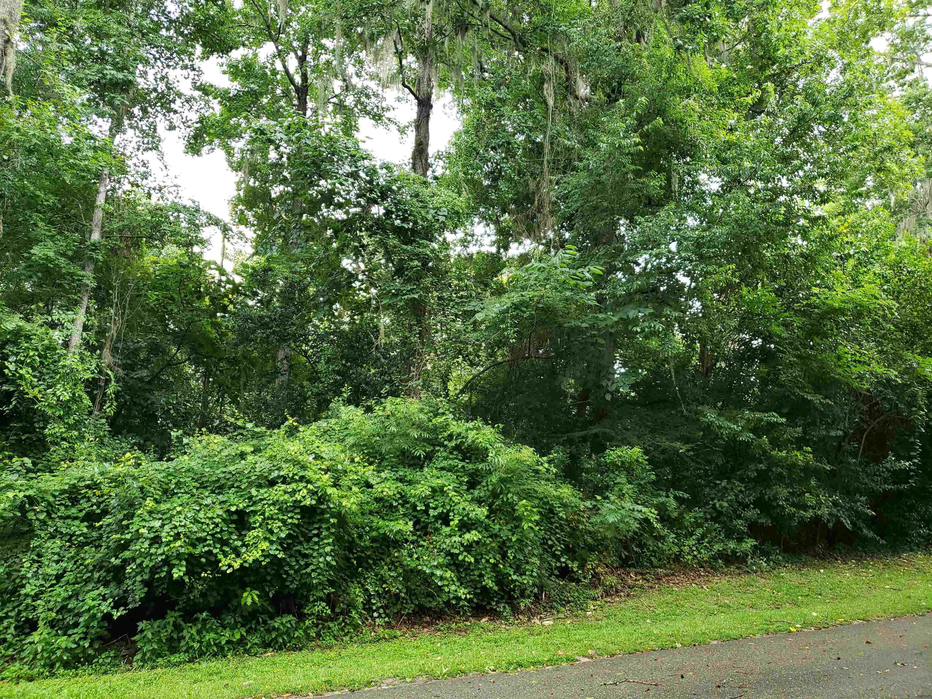 3344 Charleston Road