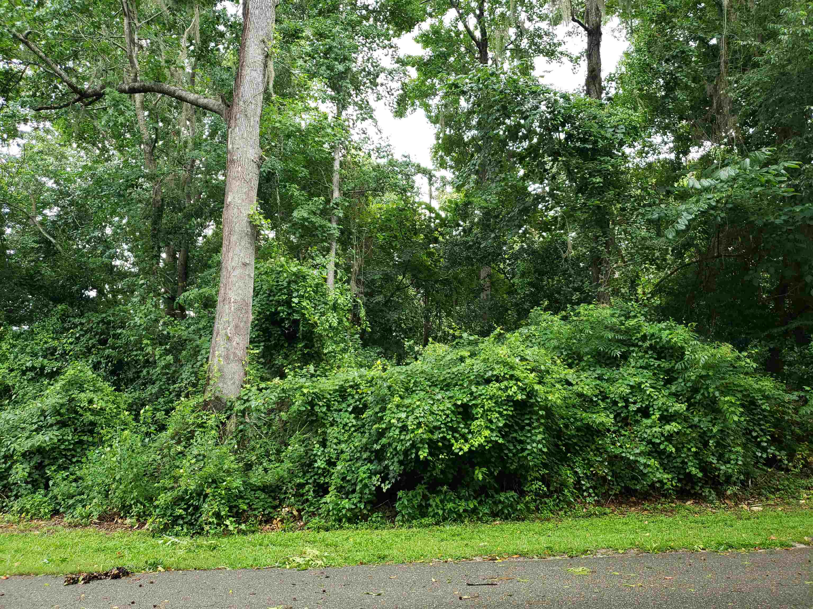 3344 Charleston Road