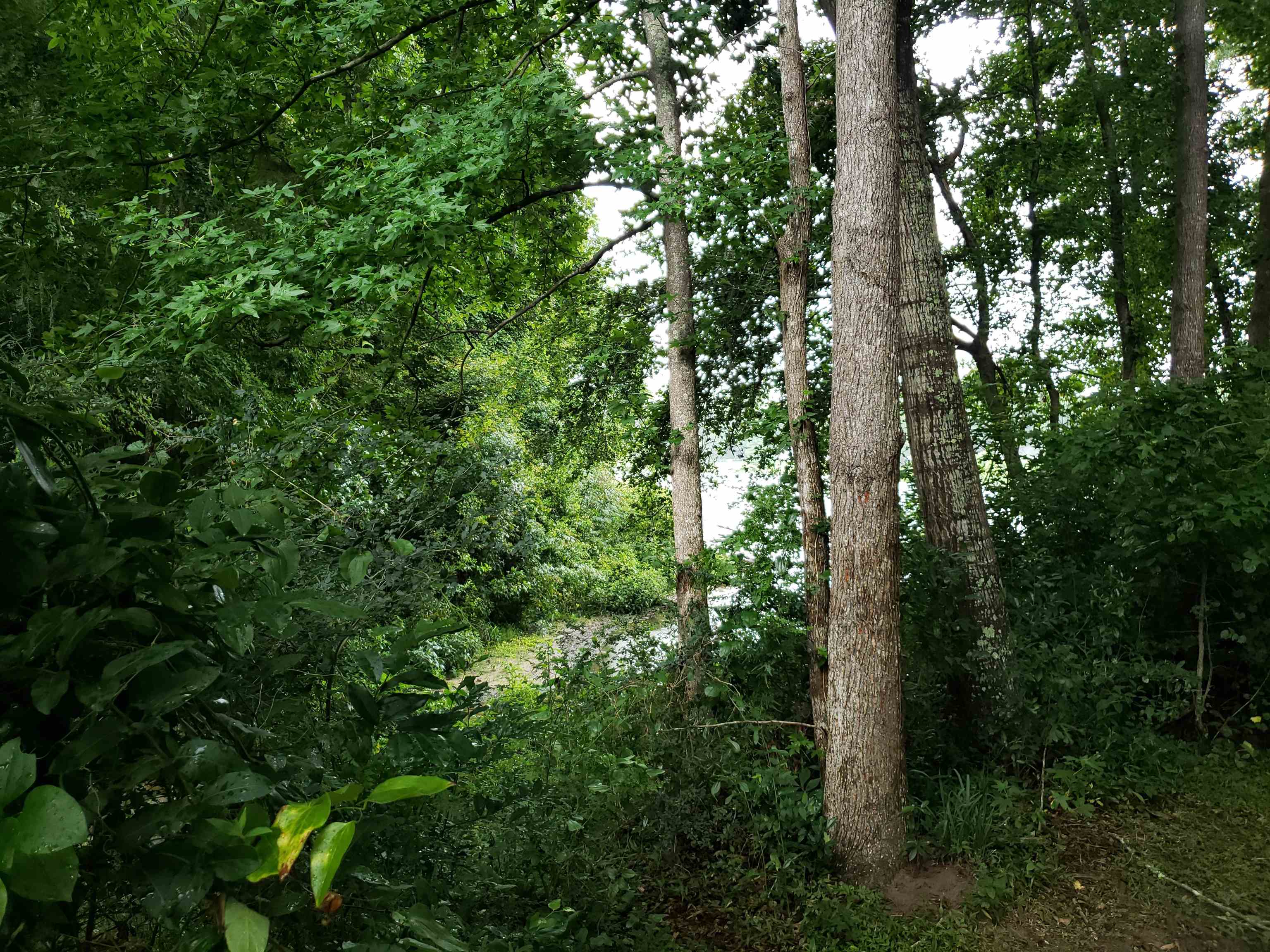 3344 Charleston Road