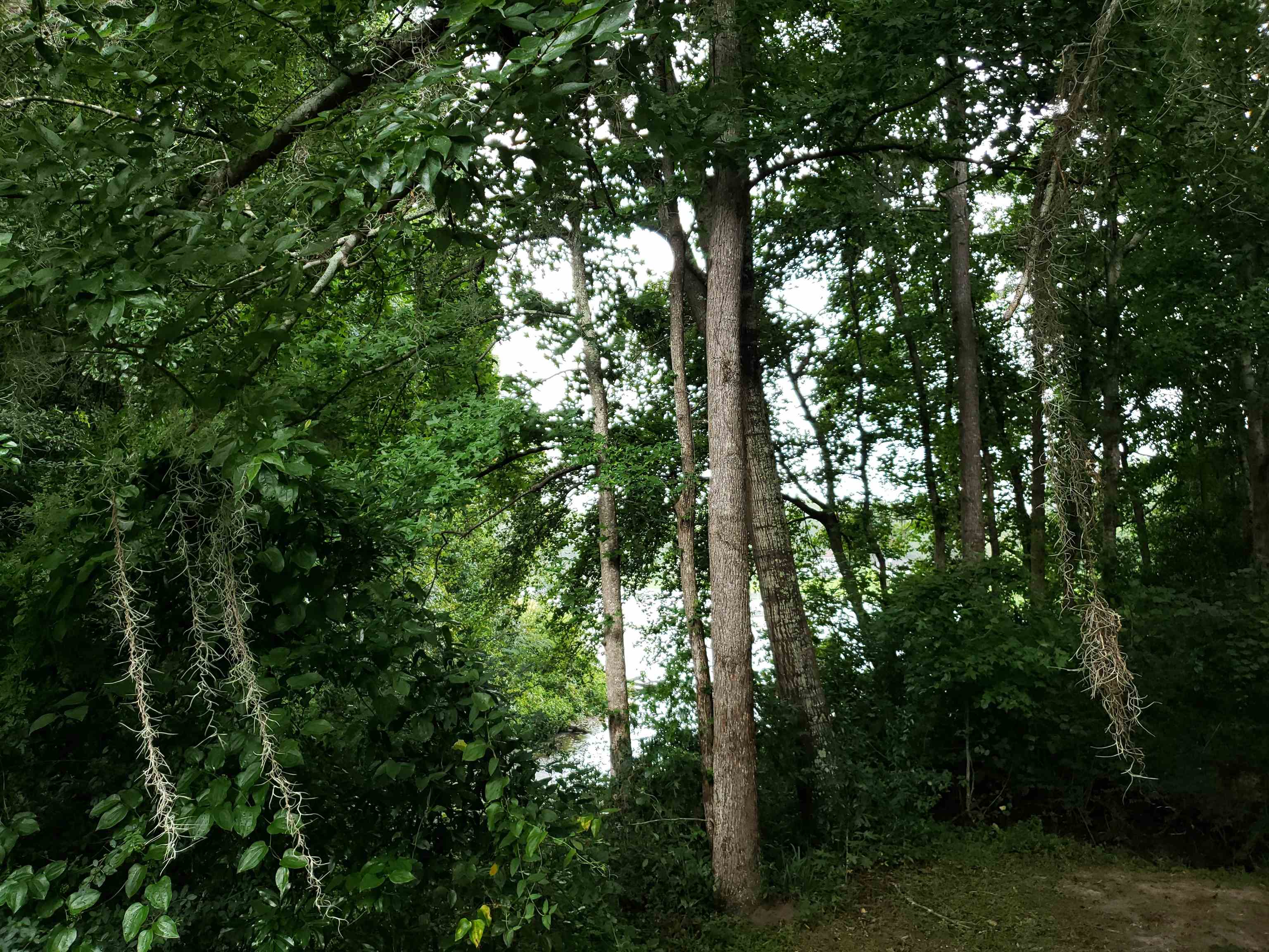 3344 Charleston Road