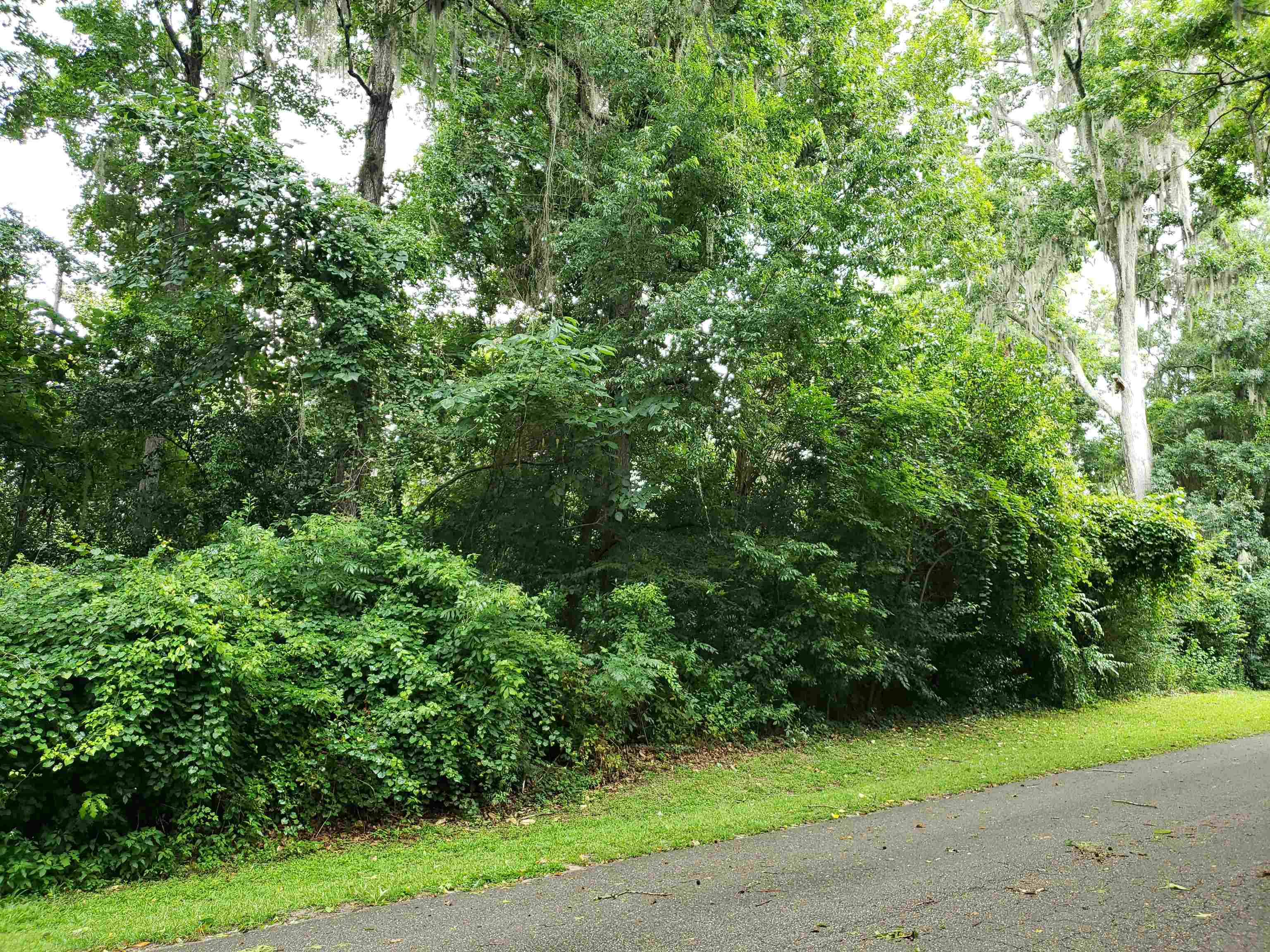 3344 Charleston Road