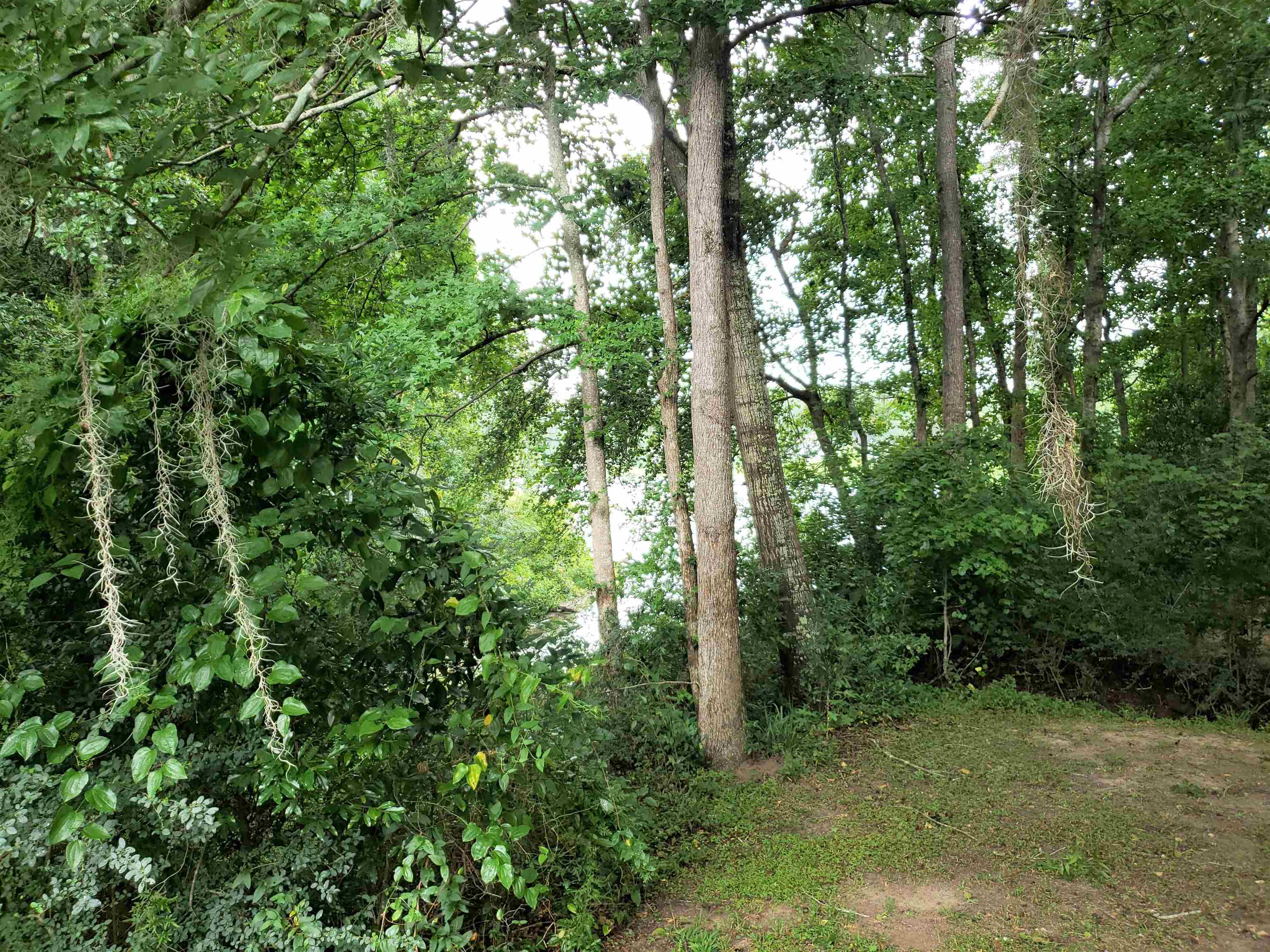 3344 Charleston Road