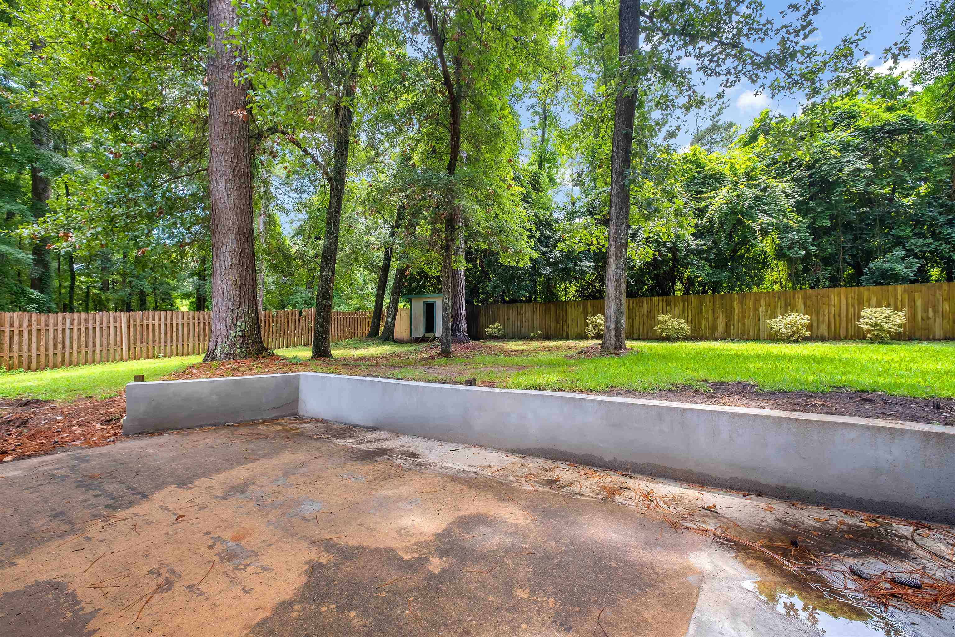 3417 Treaty Oak Trail