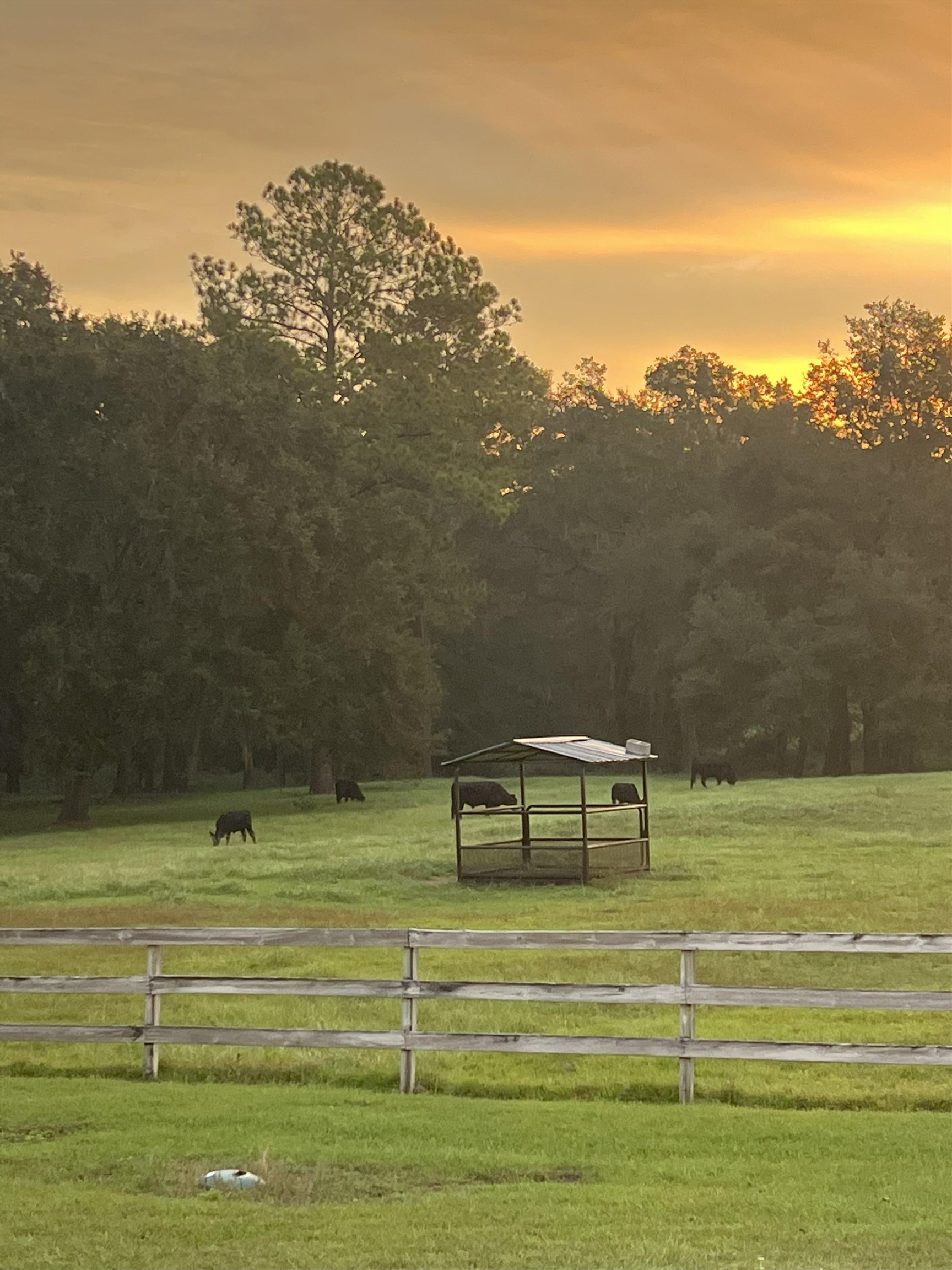 9525 Woodland Hills Way