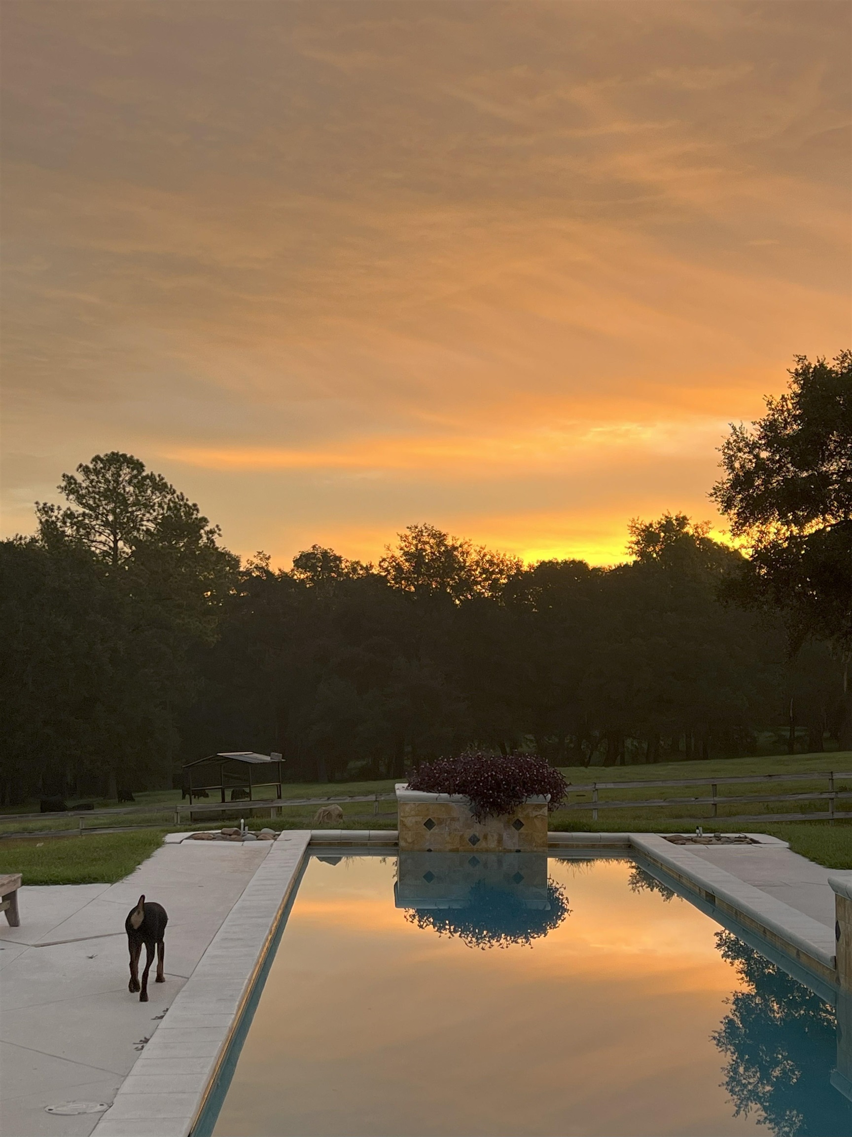 9525 Woodland Hills Way