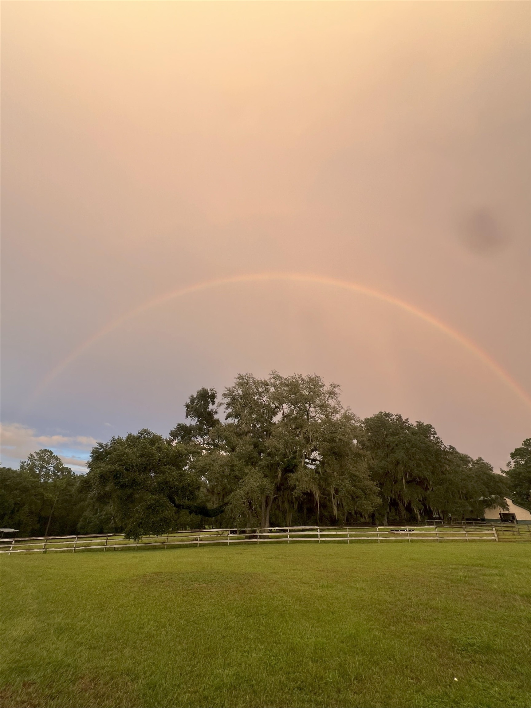 9525 Woodland Hills Way