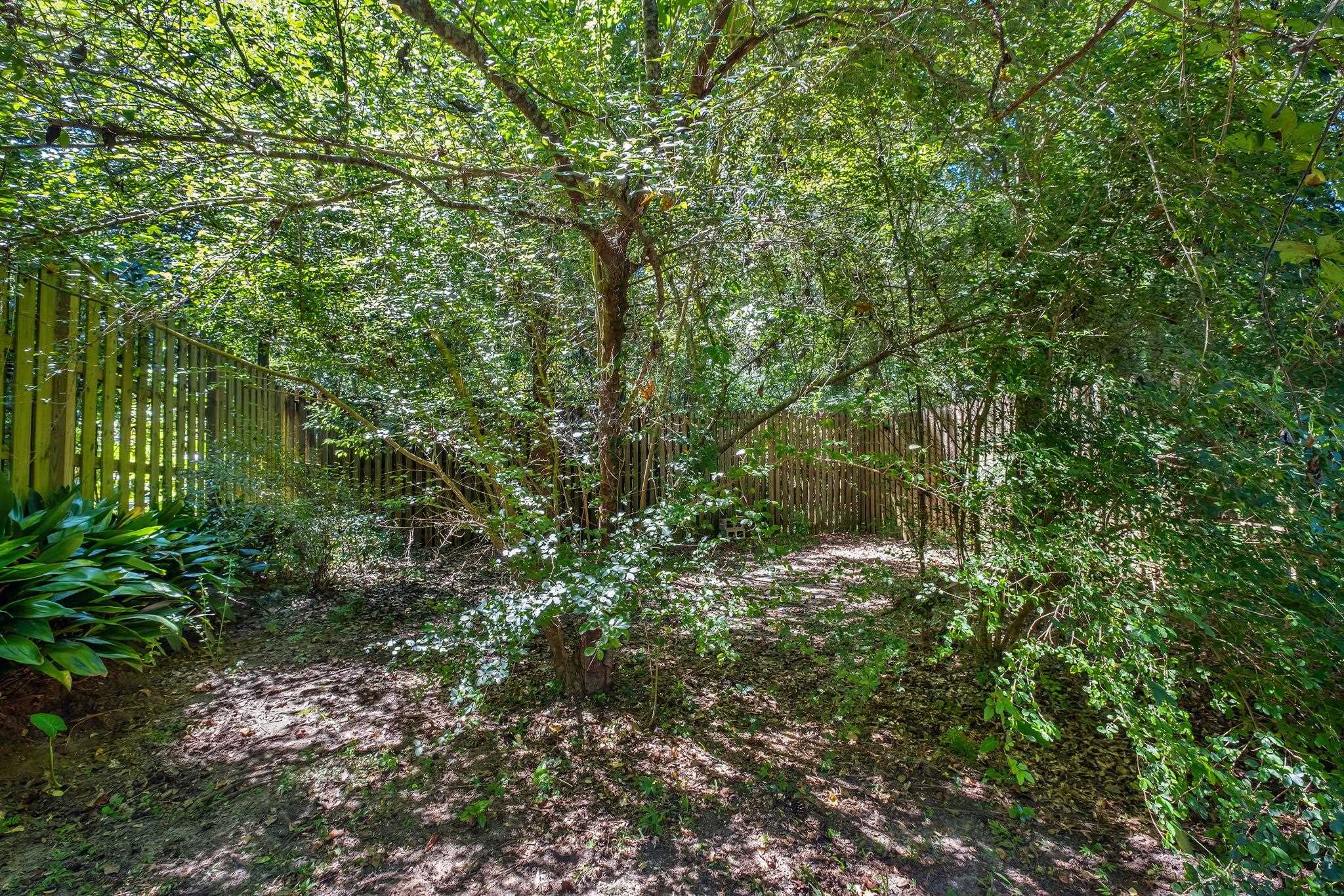 142 W Whetherbine Way