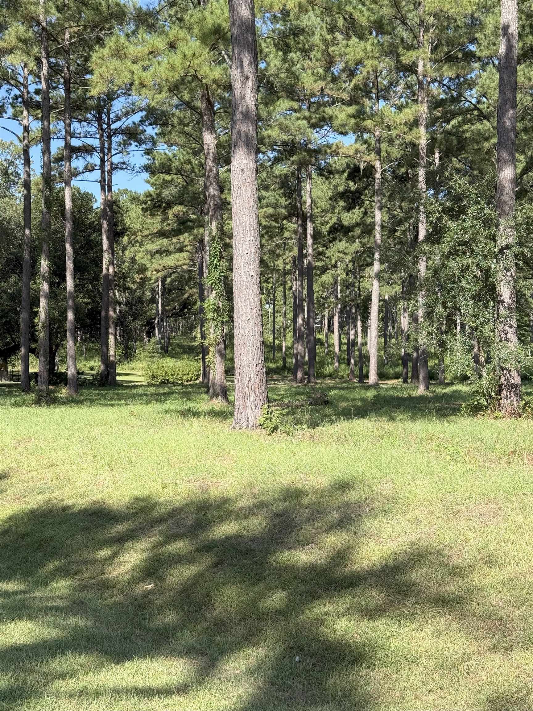 Lot 11A Lake Pisgah Drive