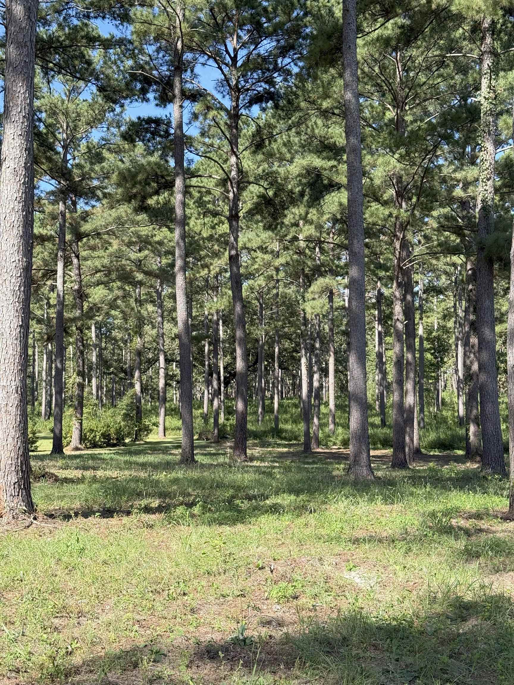 Lot 11A Lake Pisgah Drive