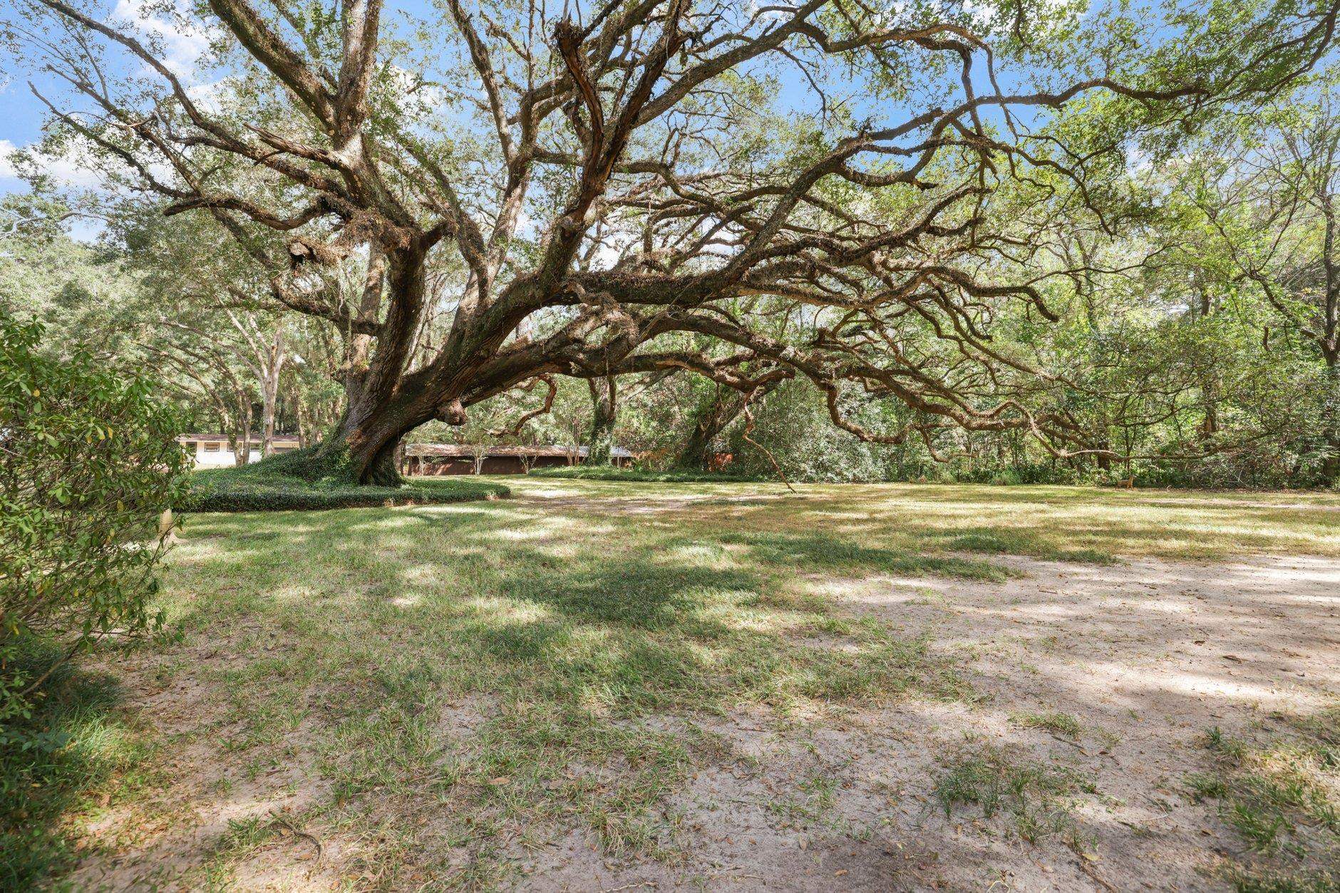 3411 Deer Lane Drive