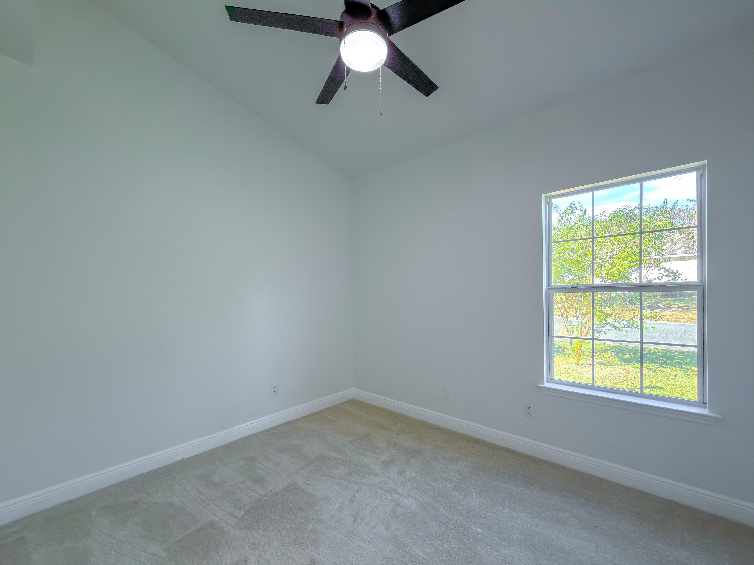 3491 Torrington Way