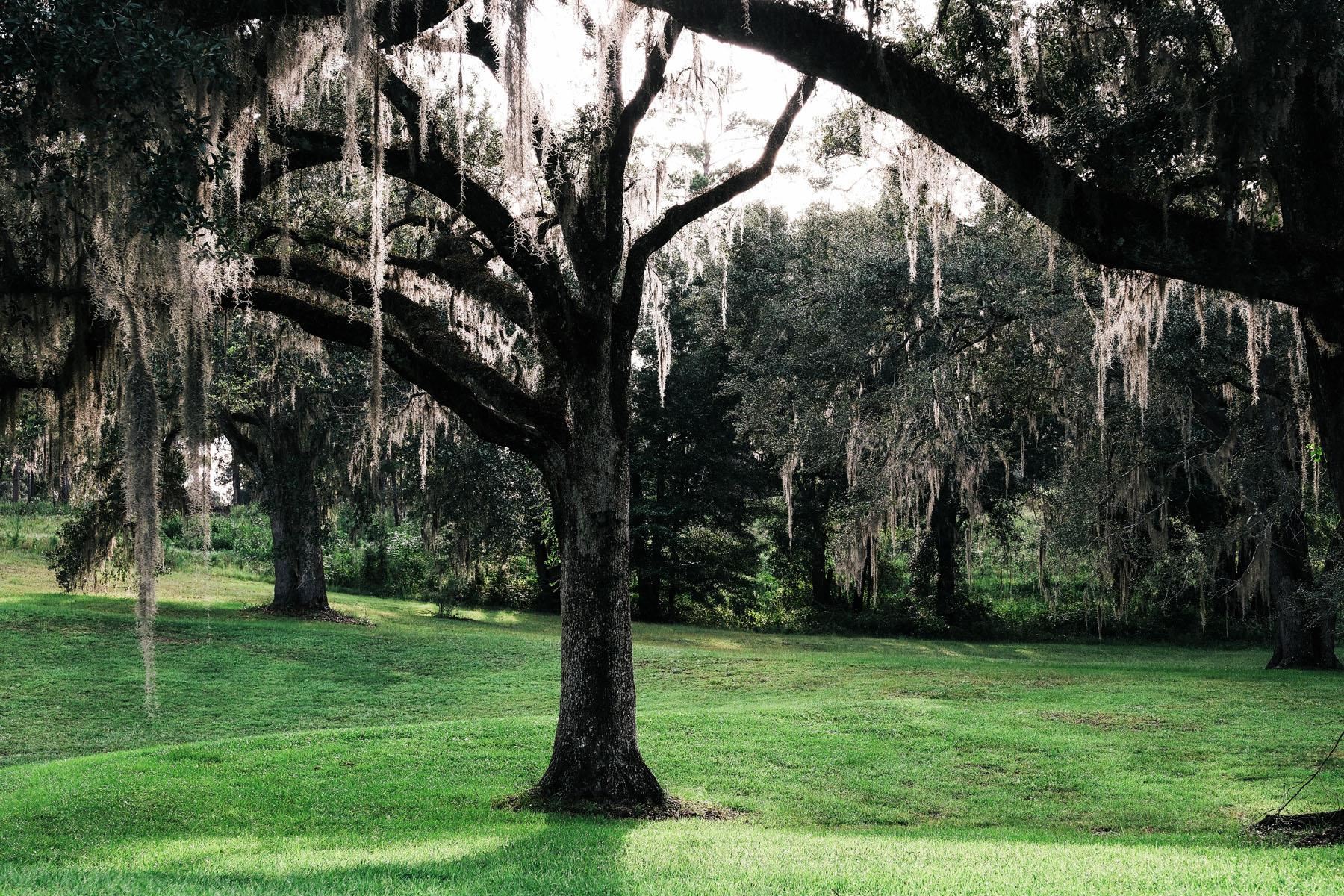 10800 Mccracken Road