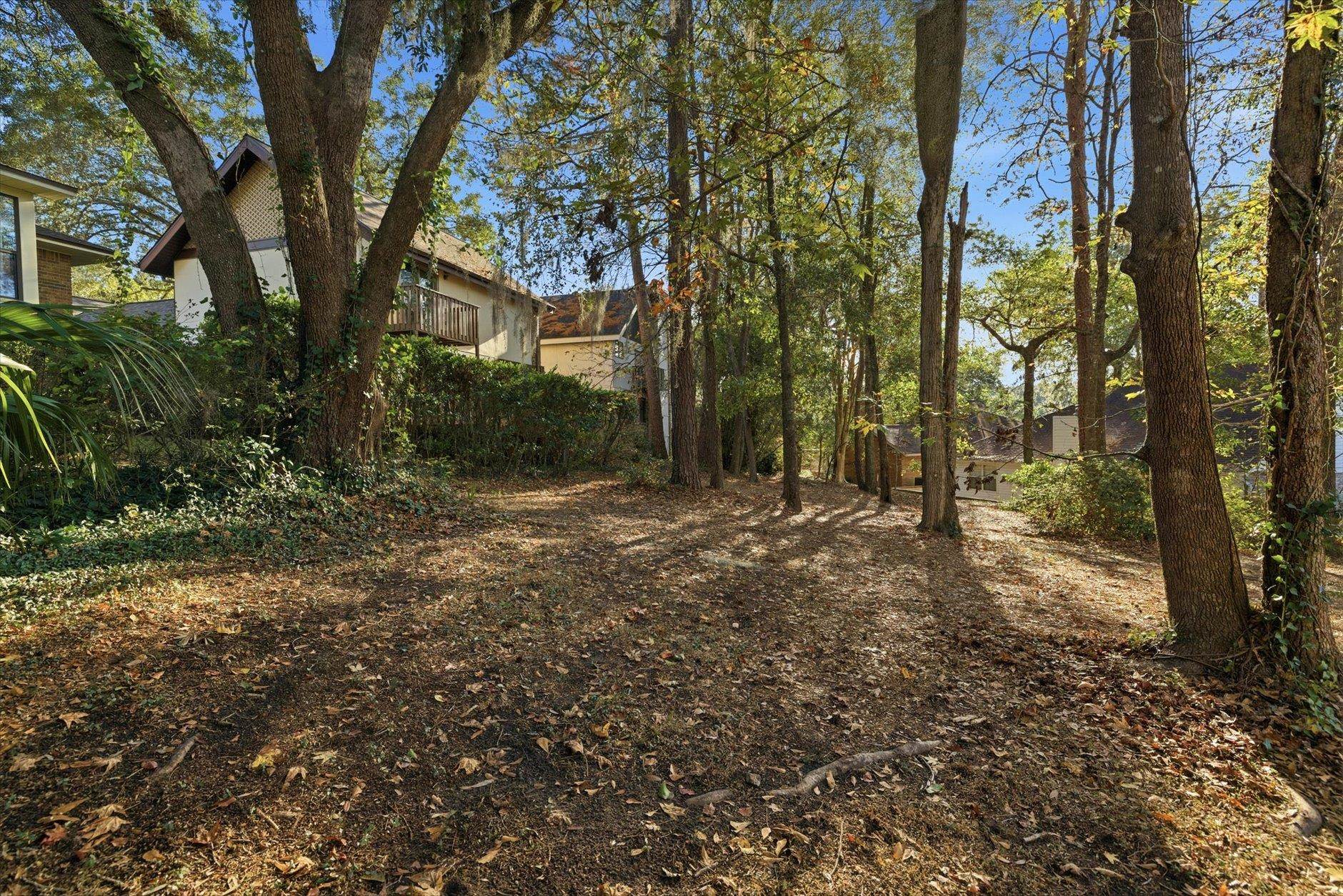 3343 Piping Rock