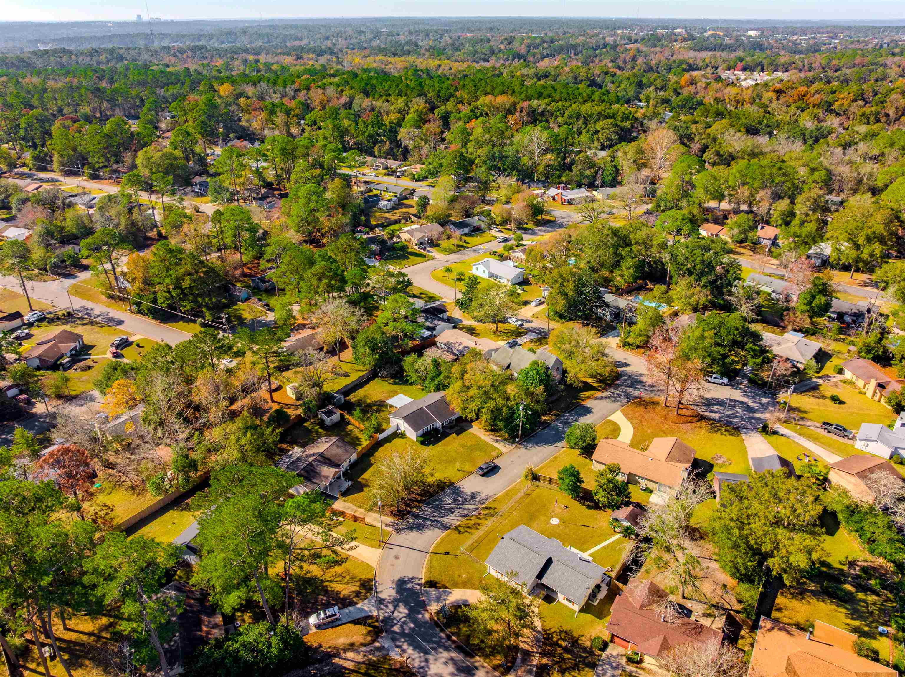 3305 Vassar Court