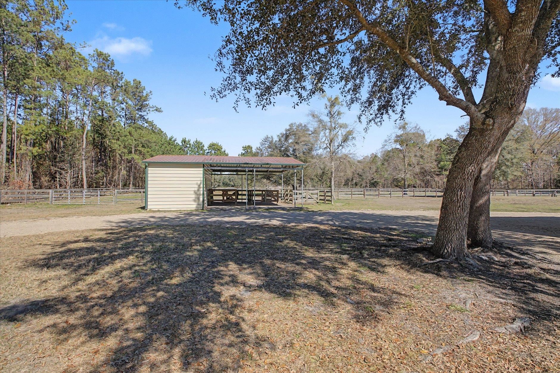 40 Cavallo Trail
