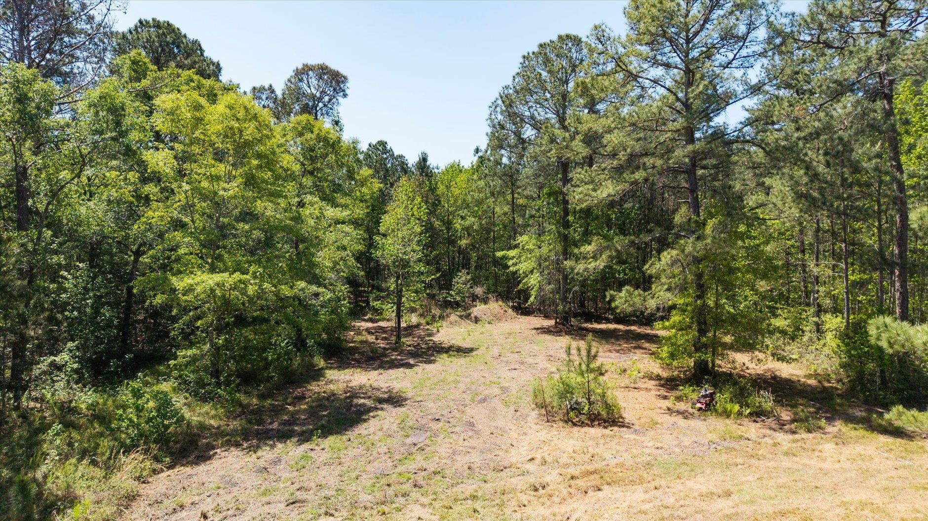 Lot 81 Proctor Road