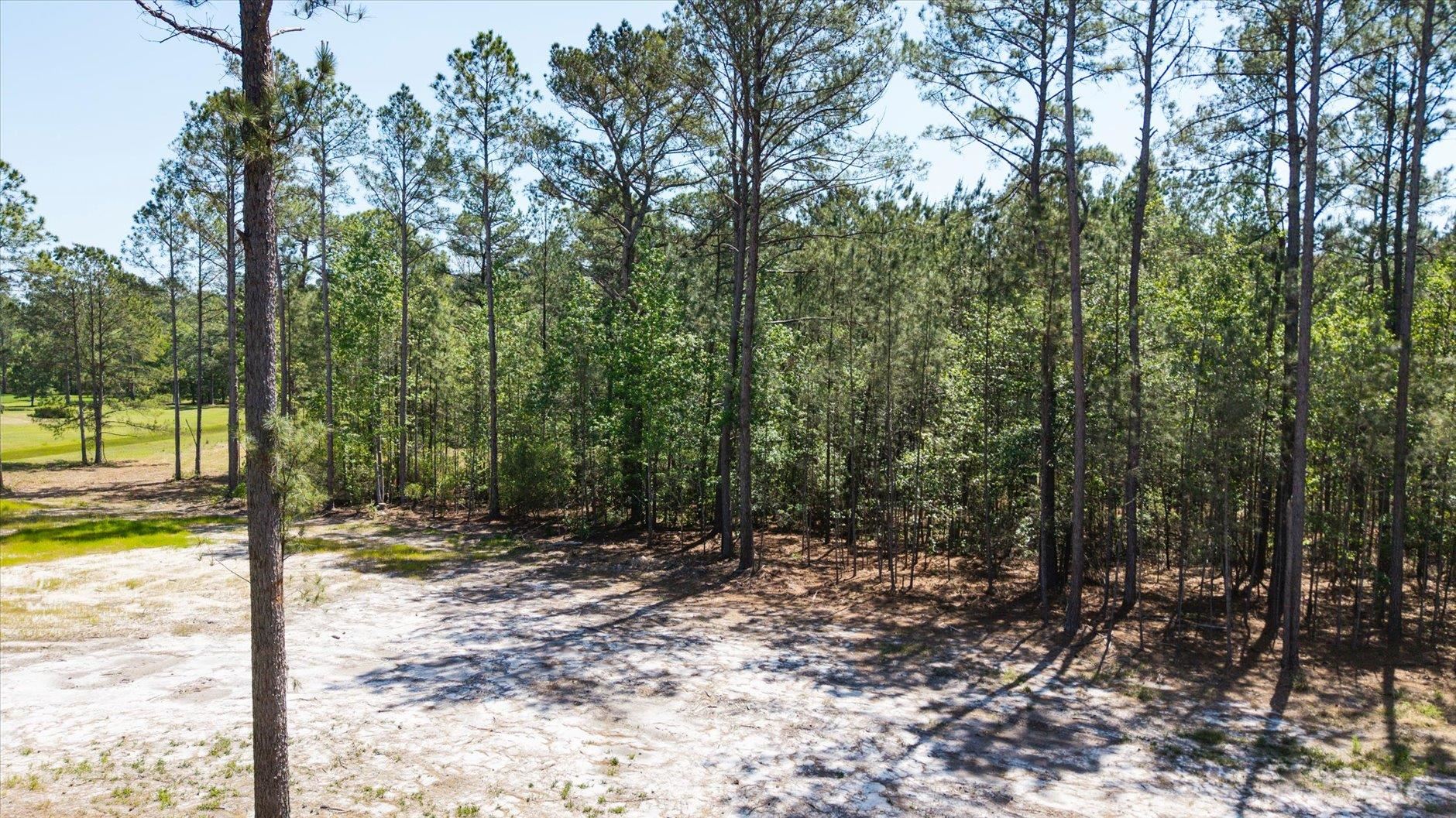 Lot 81 Proctor Road