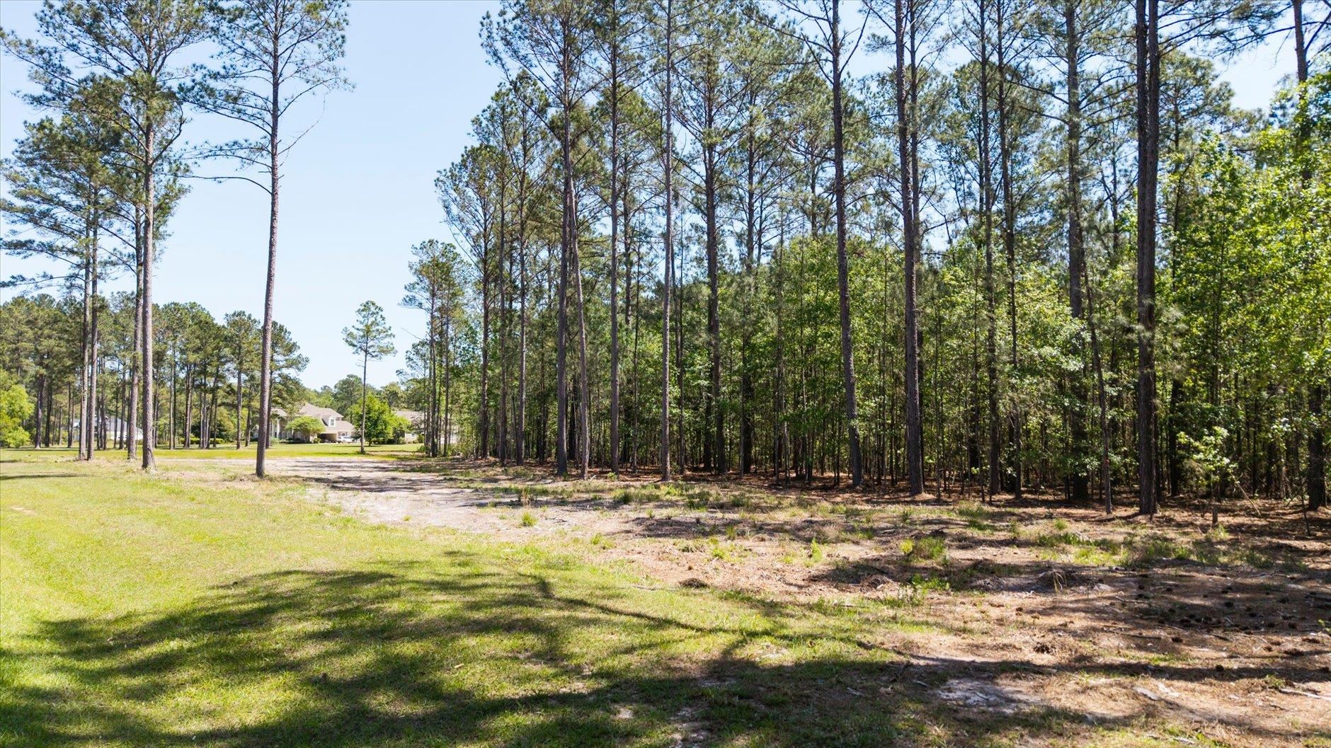 Lot 81 Proctor Road