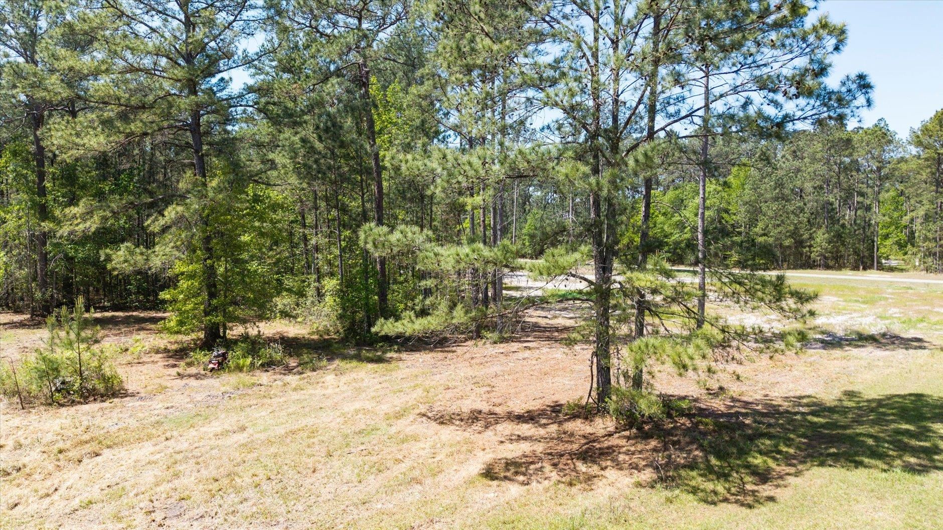 Lot 81 Proctor Road