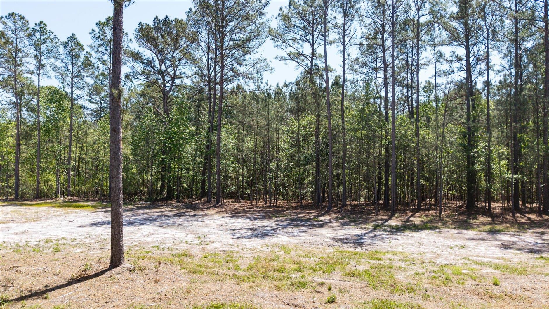 Lot 81 Proctor Road