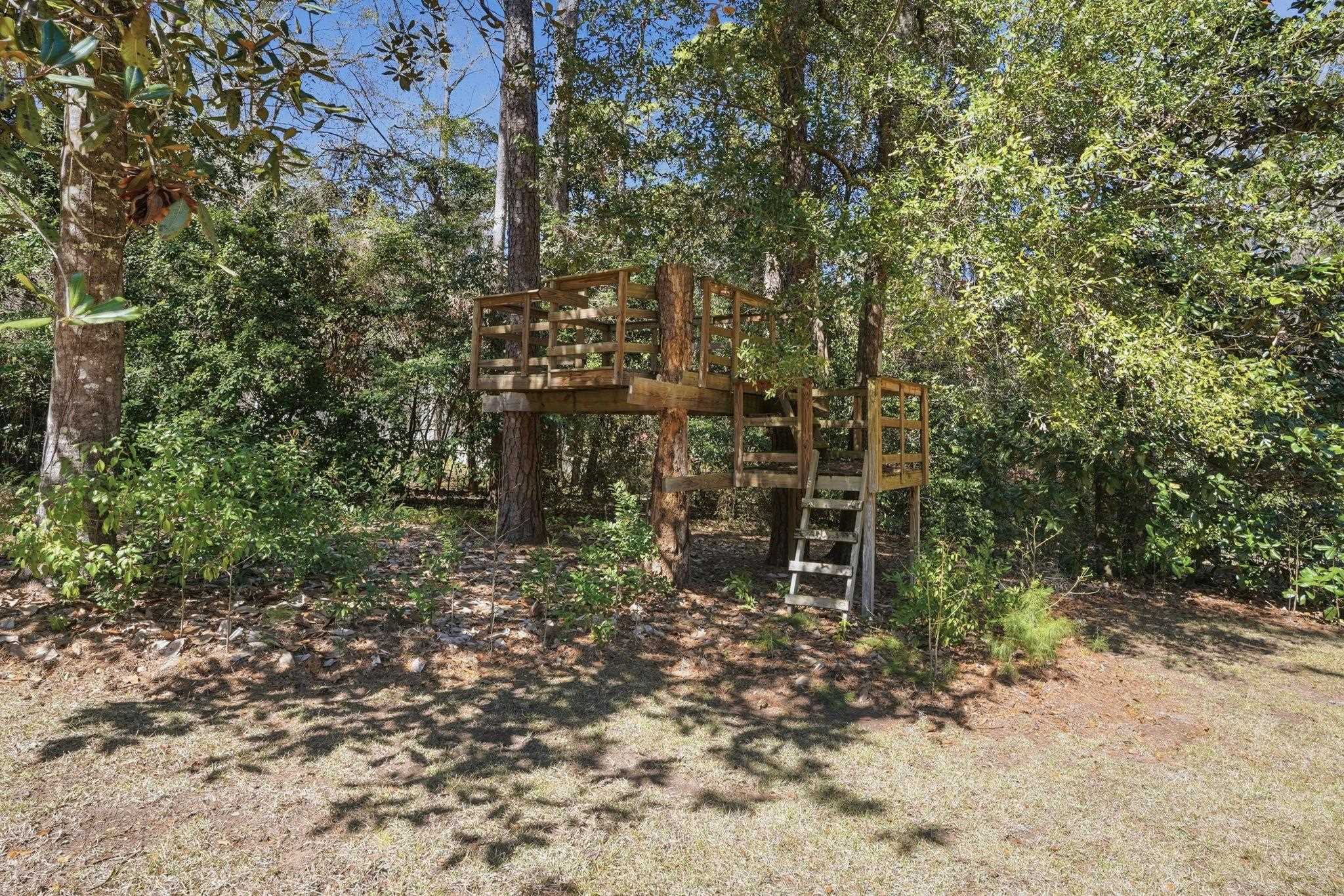 3505 Cedar Lane Drive