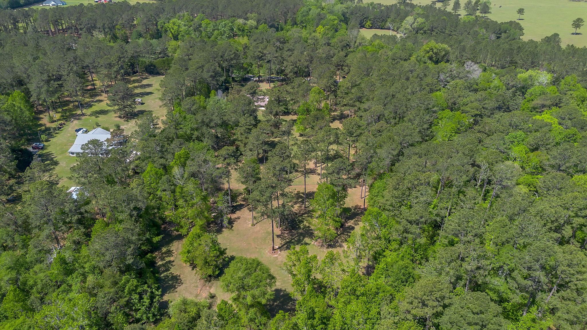 2848 Lanier Road