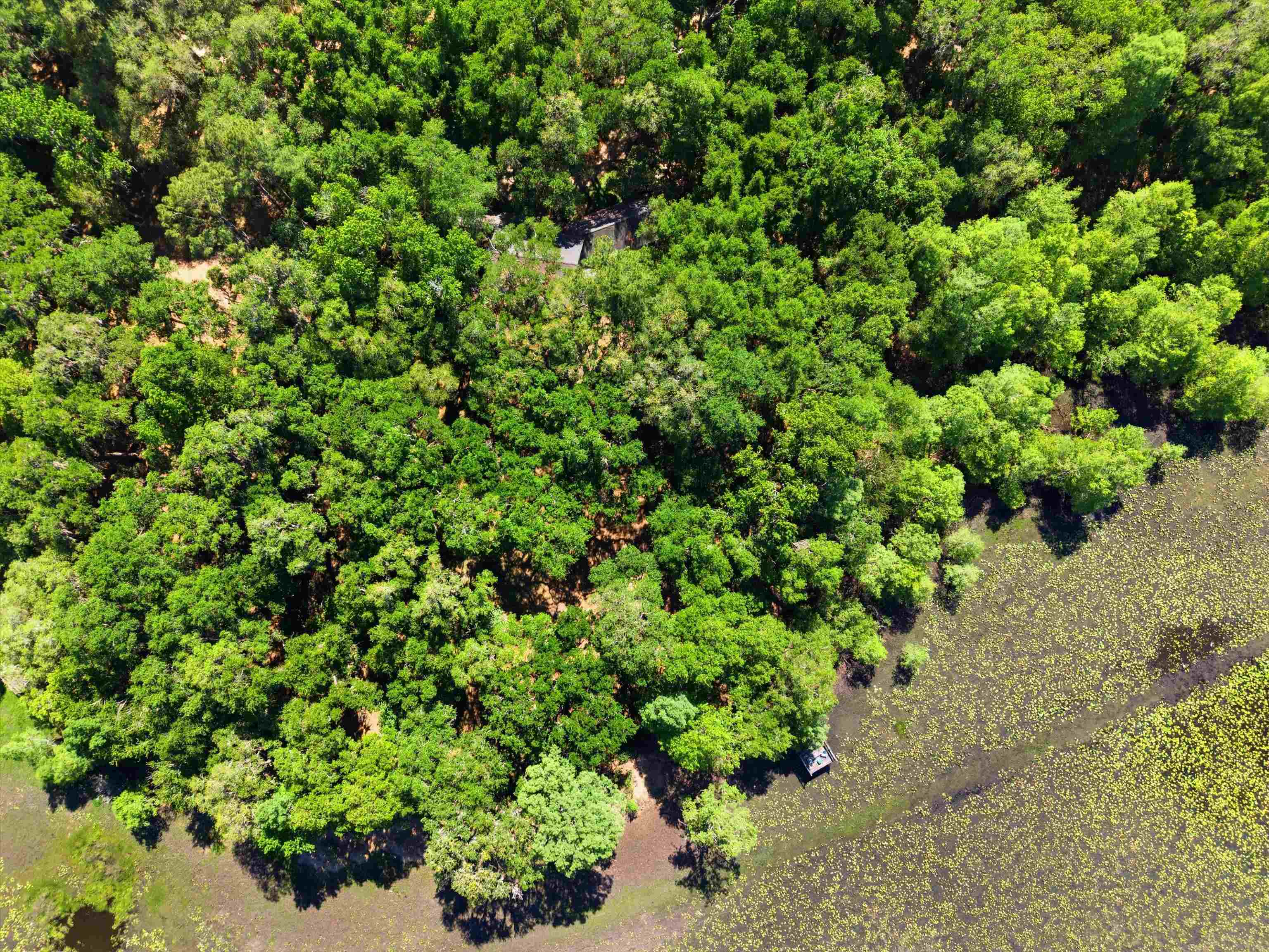 10945 Luna Point Road