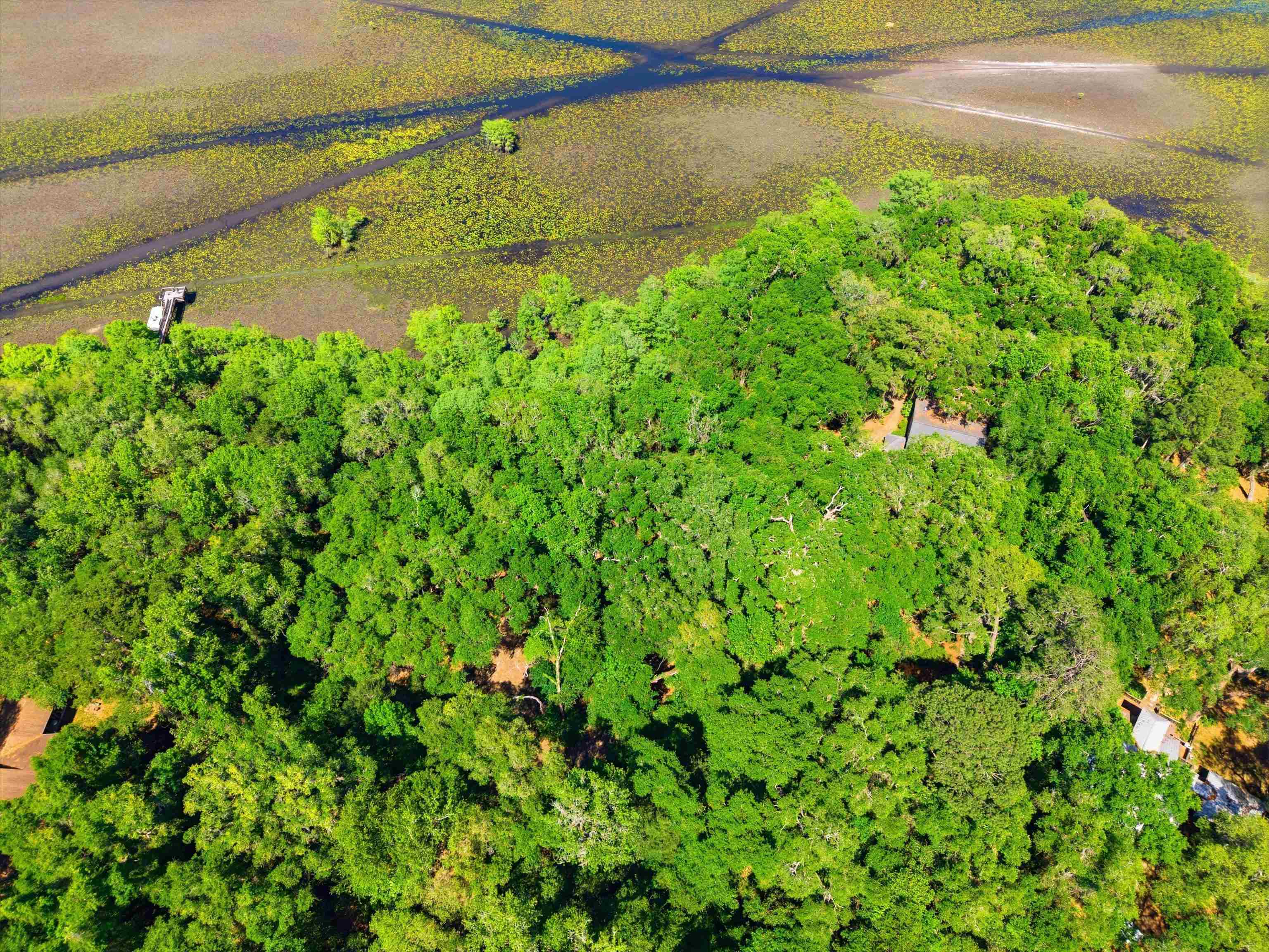 10945 Luna Point Road