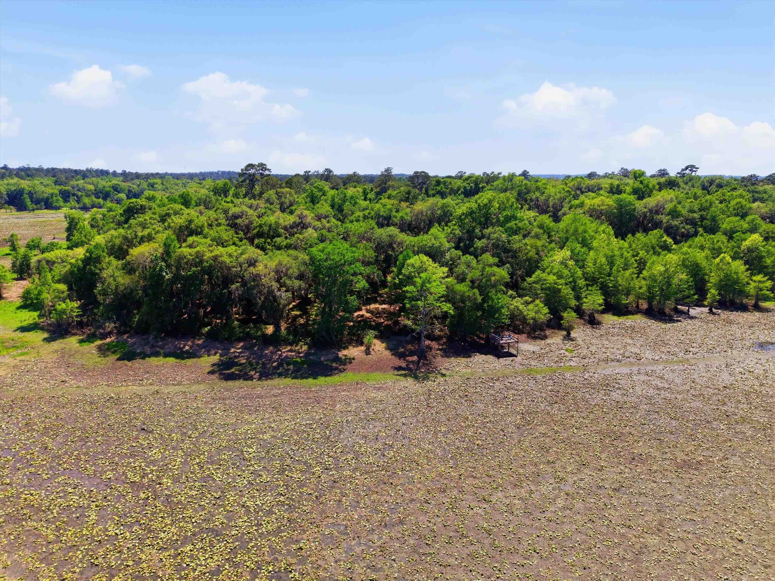 10945 Luna Point Road