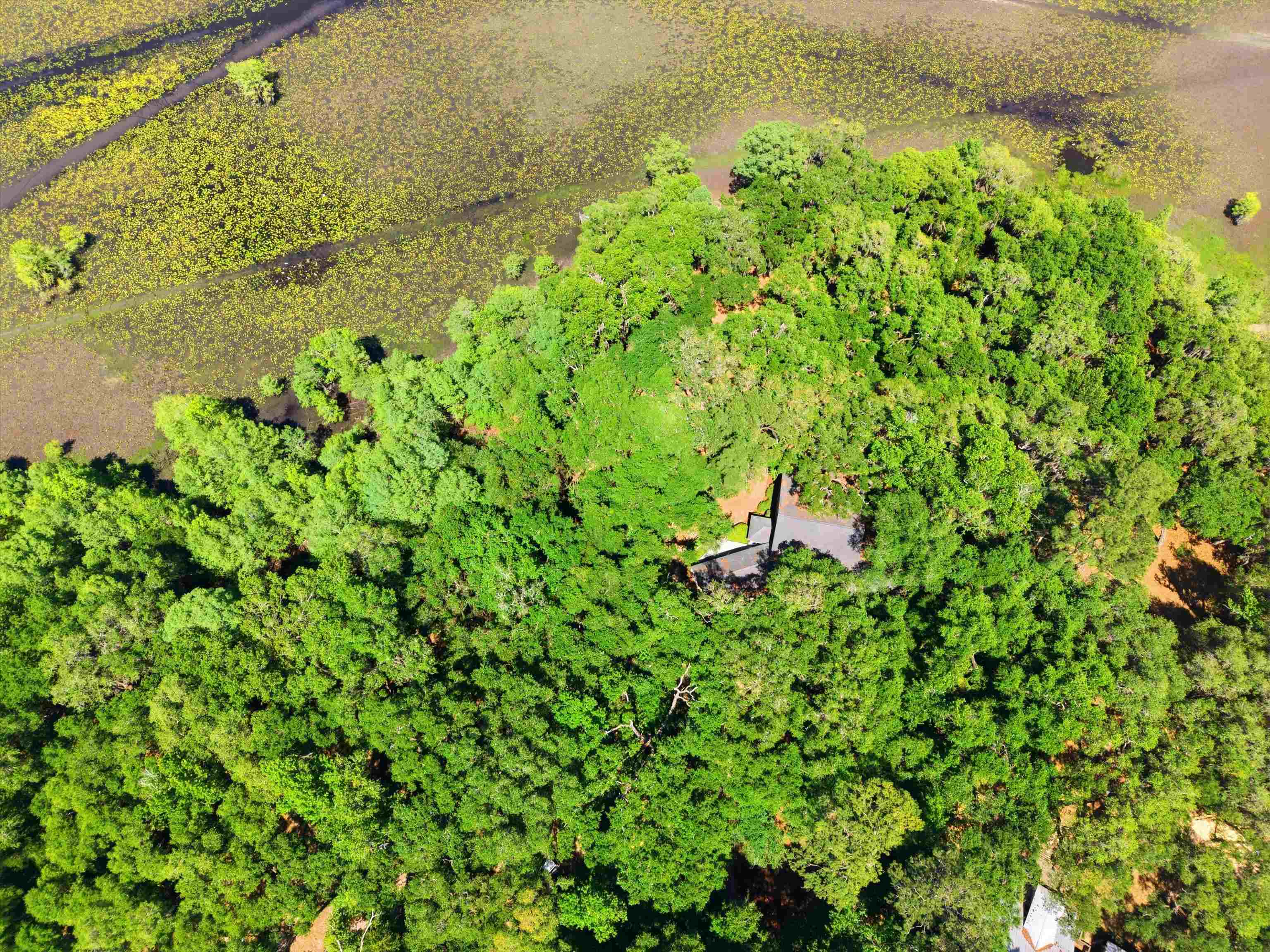 10945 Luna Point Road