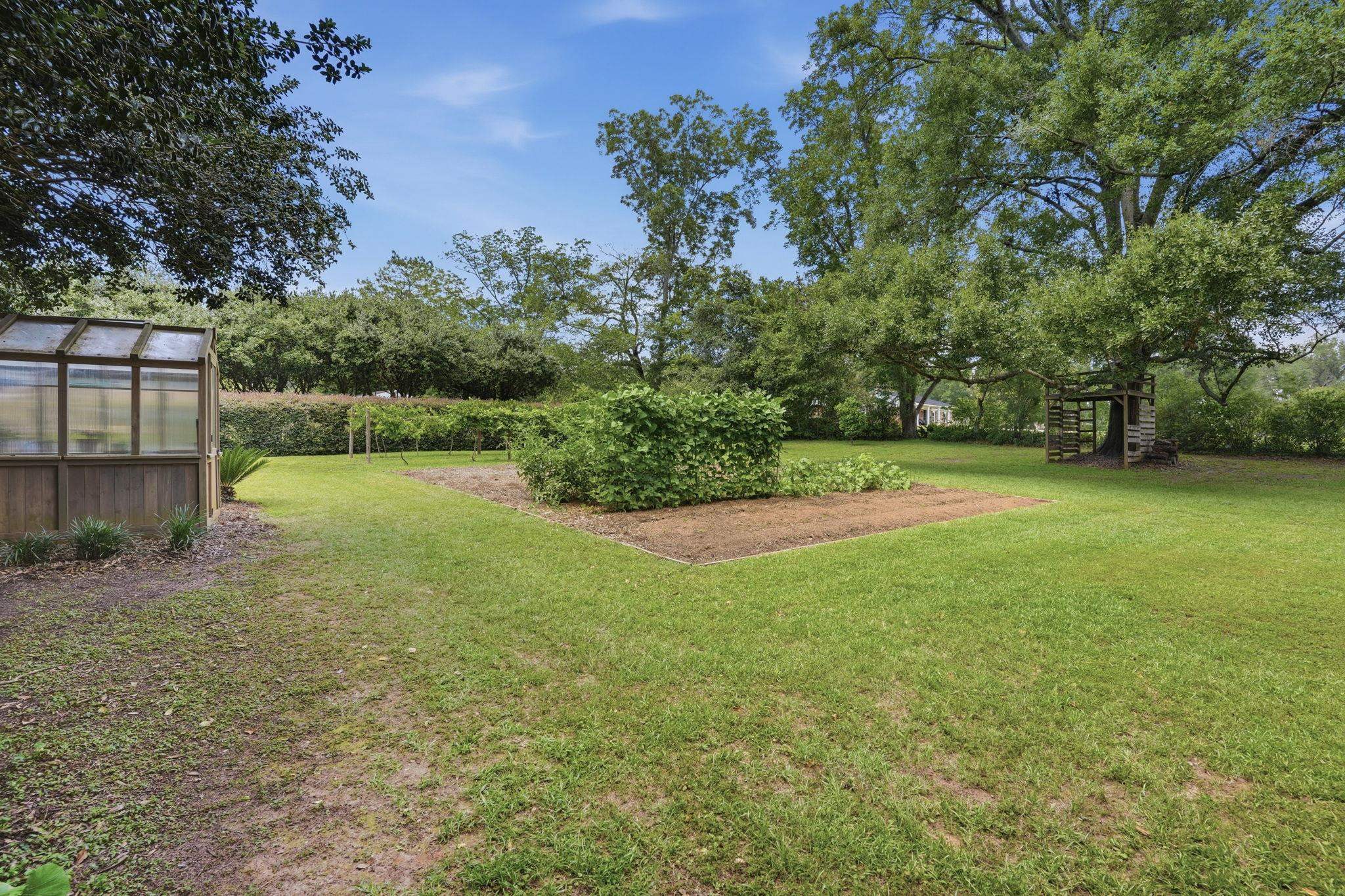 1769 VINEYARD Way