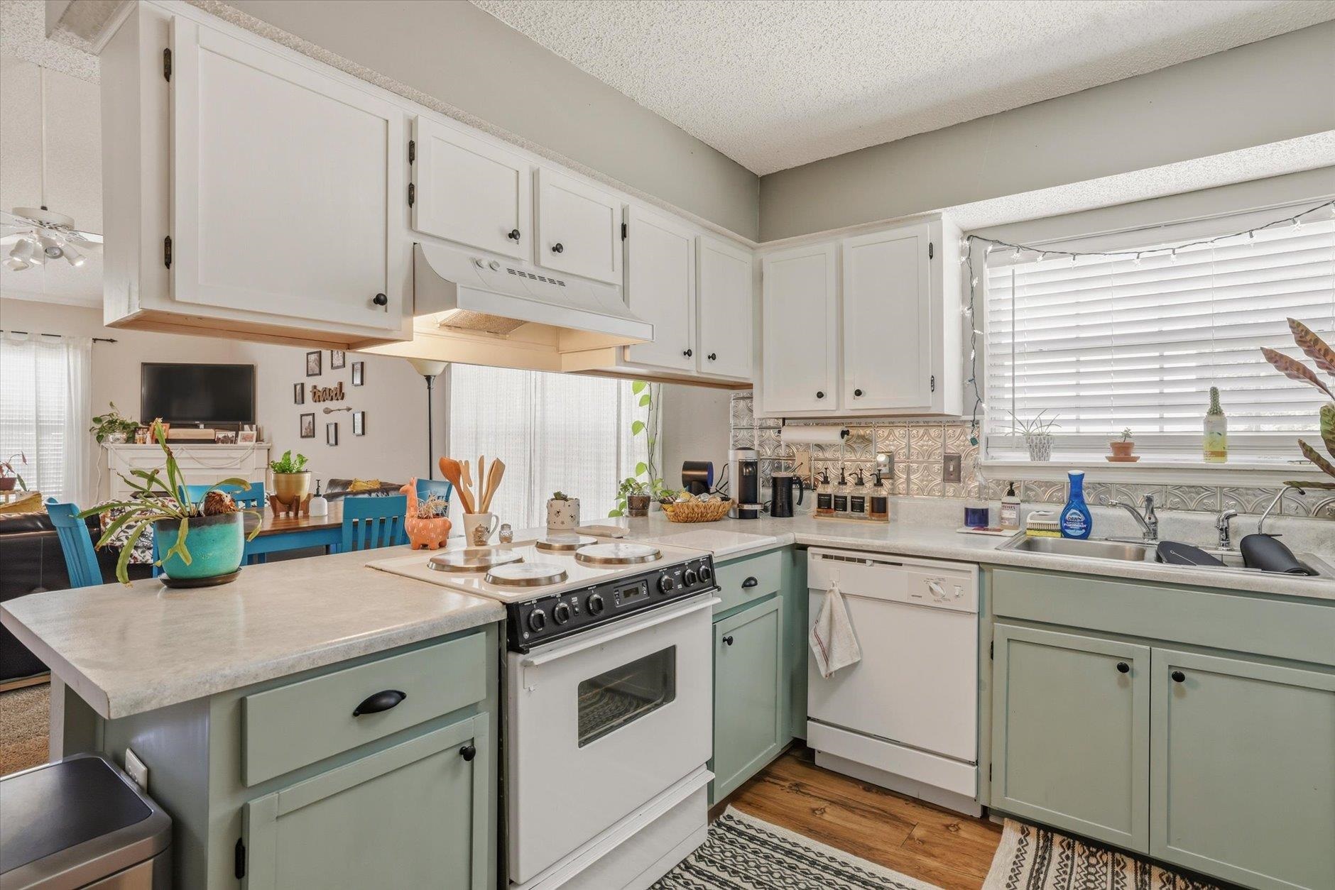 2485 Needle Palm Way
